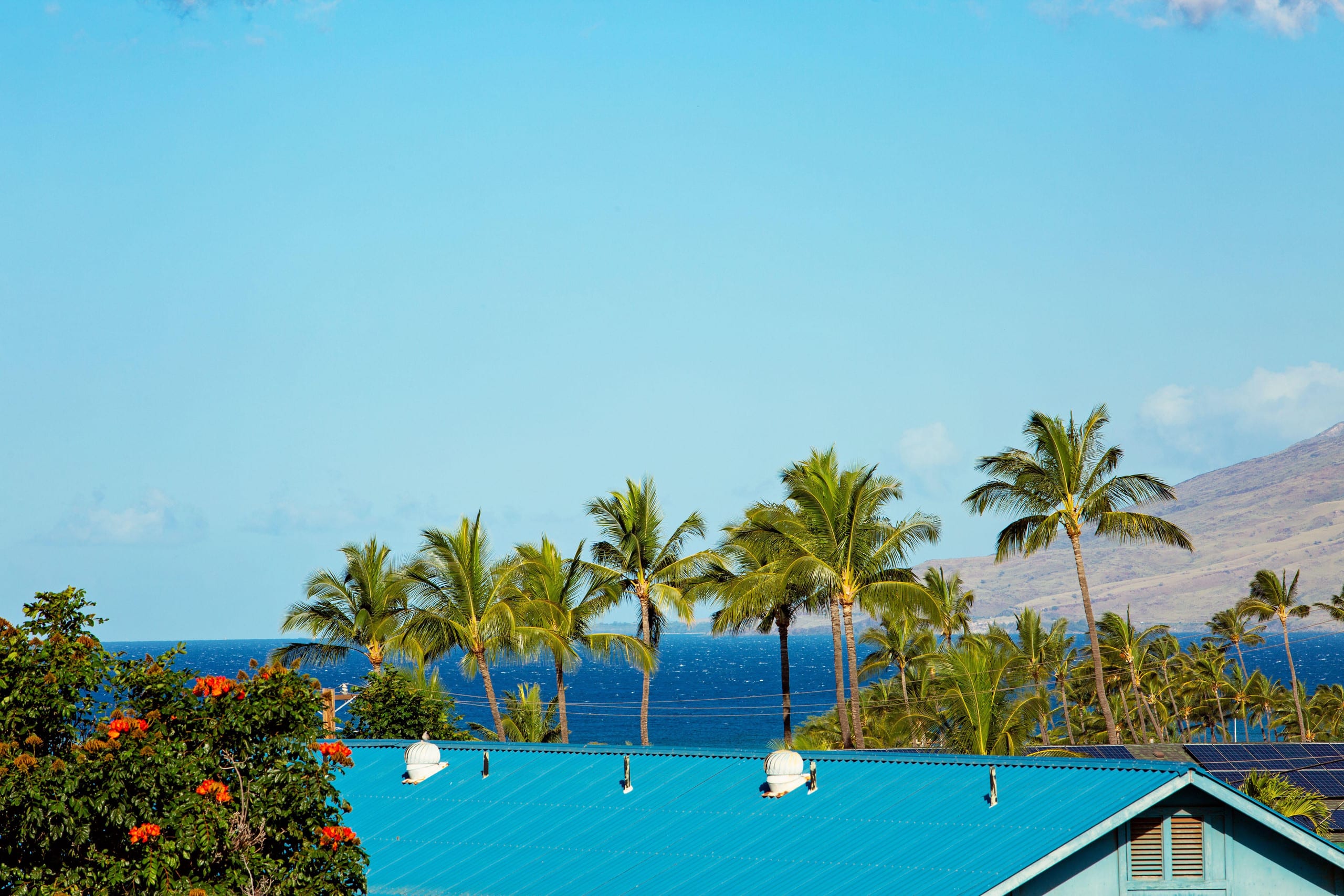 Condo in Kihei · ★4.82 · 2 bedrooms · 4 beds · 2 shared baths - Image 38