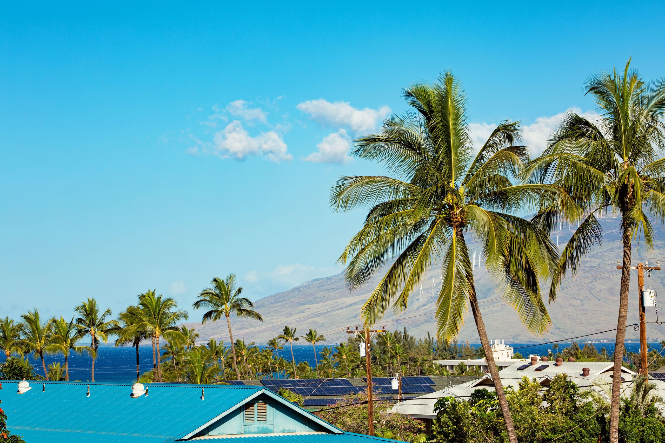 Condo in Kihei · ★4.82 · 2 bedrooms · 4 beds · 2 shared baths - Image 39