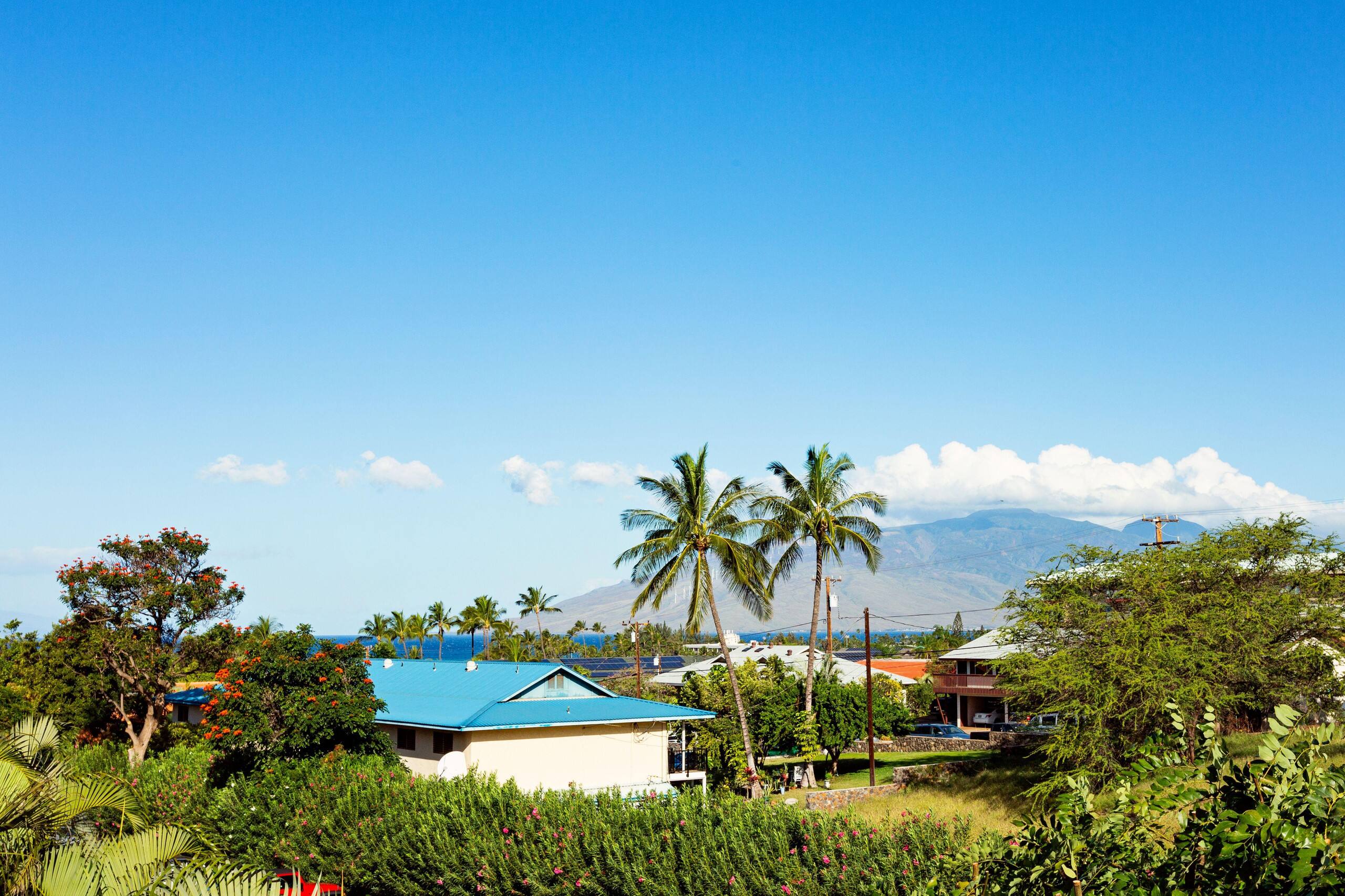 Condo in Kihei · ★4.82 · 2 bedrooms · 4 beds · 2 shared baths - Image 36