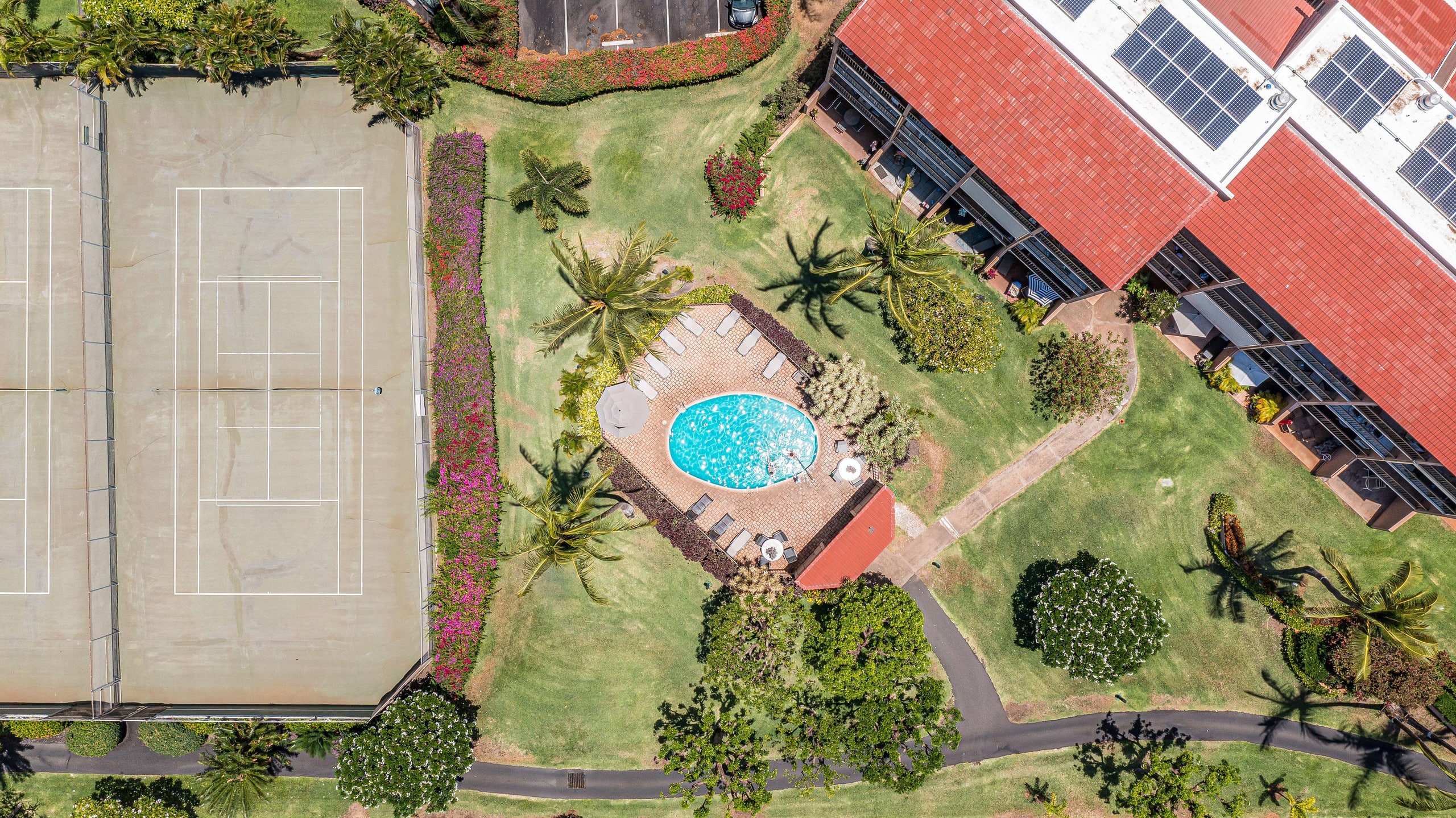 Condo in Kihei · ★4.82 · 2 bedrooms · 4 beds · 2 shared baths - Image 47