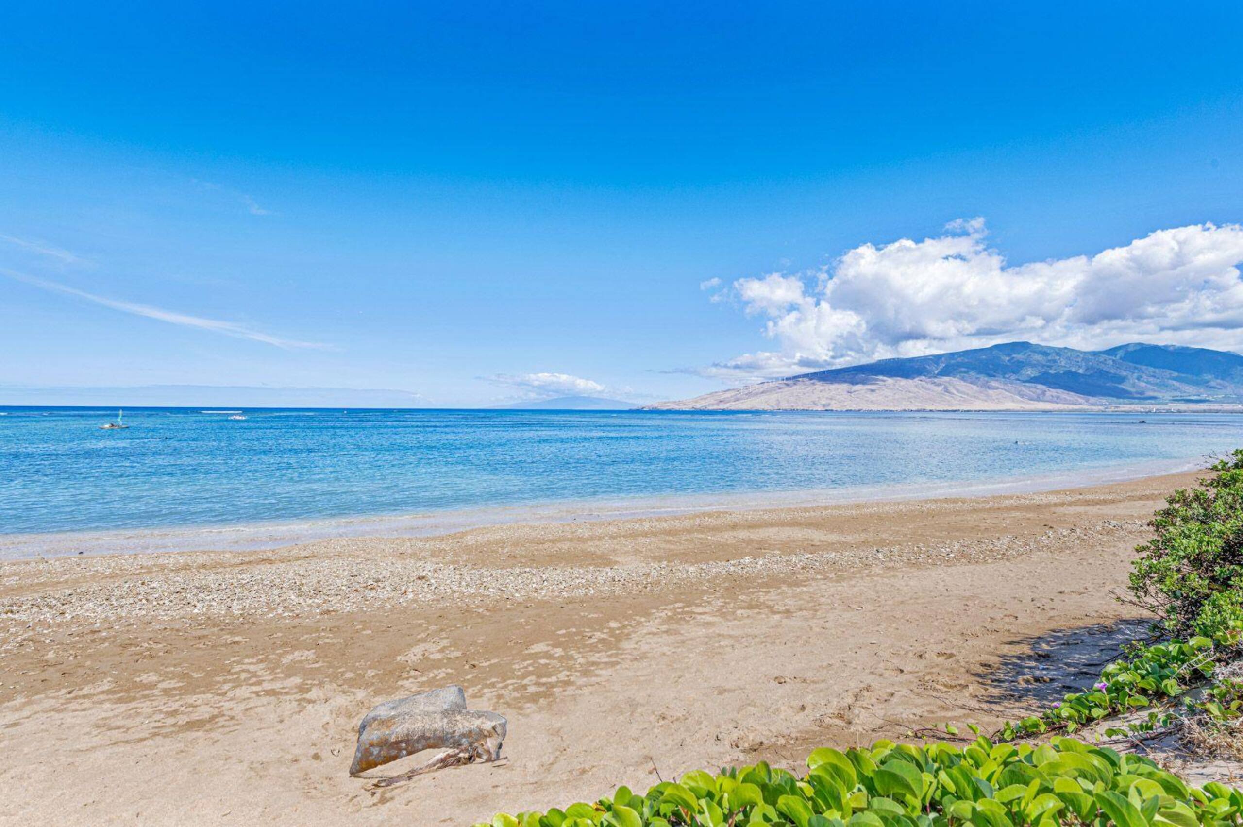 Condo in Kihei · ★5.0 · 2 bedrooms · 3 beds · 2 baths - Image 42