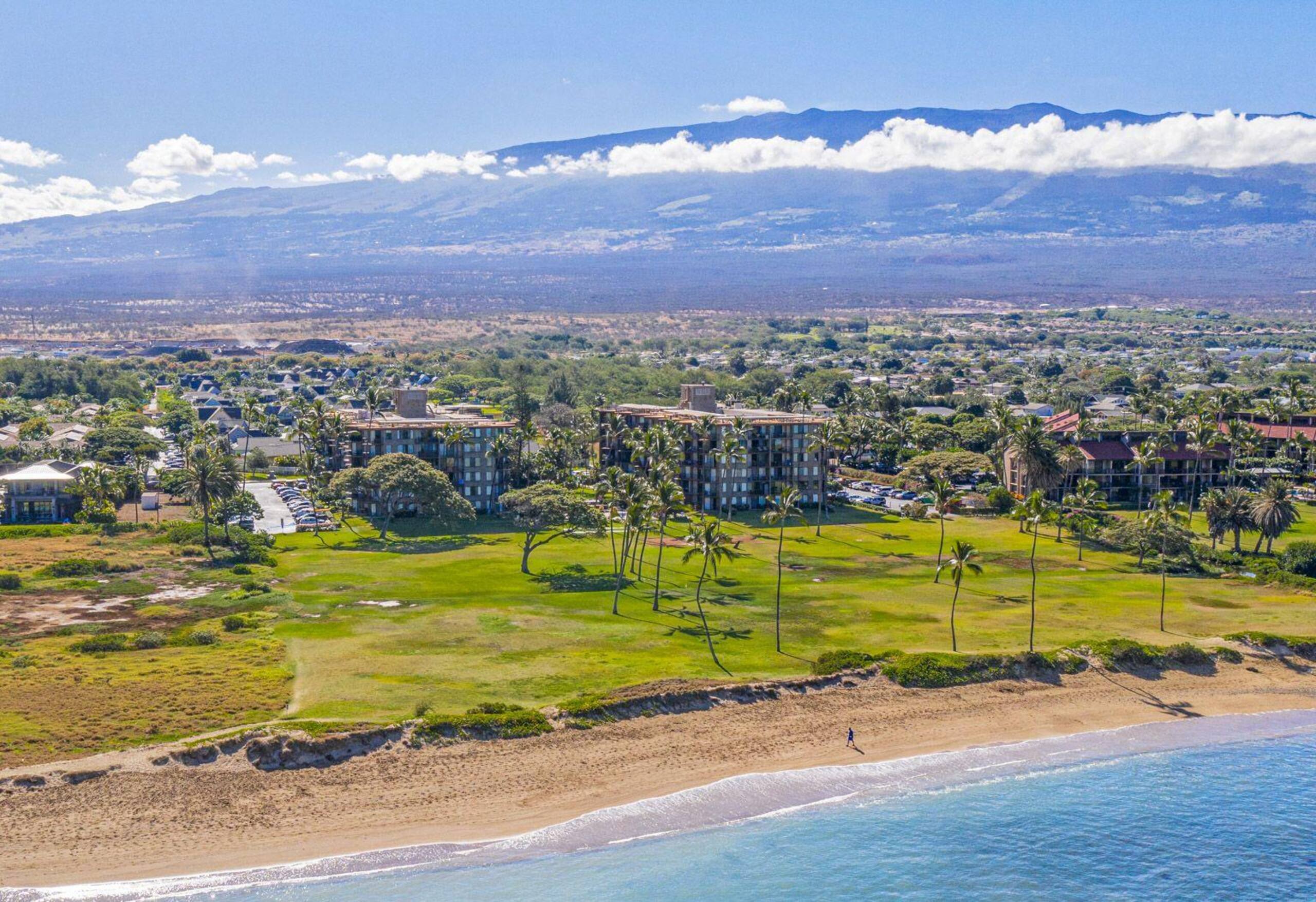 Condo in Kihei · ★5.0 · 2 bedrooms · 3 beds · 2 baths - Image 40