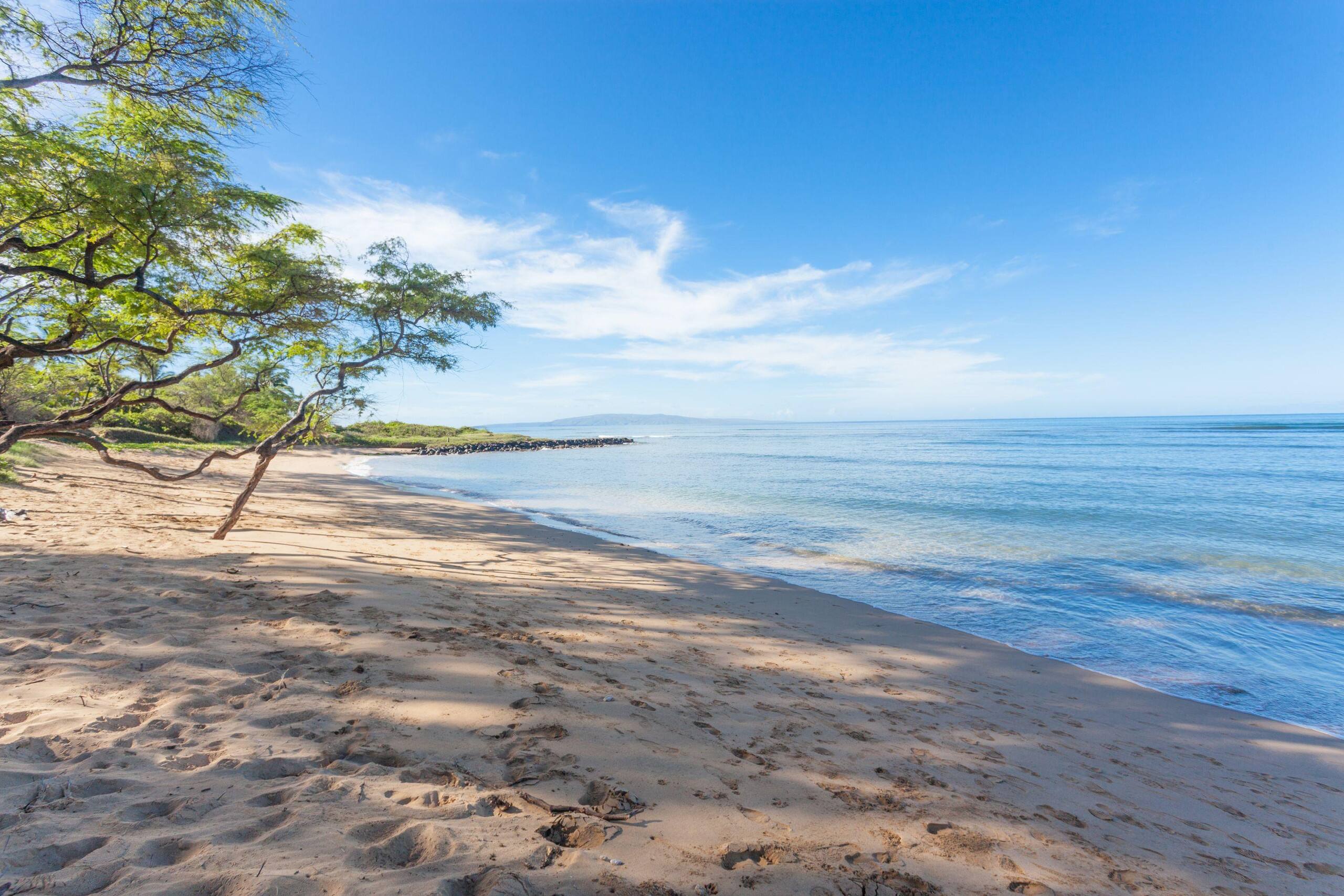 Condo in Kihei · ★4.82 · 1 bedroom · 2 beds · 1 shared bath - Image 41