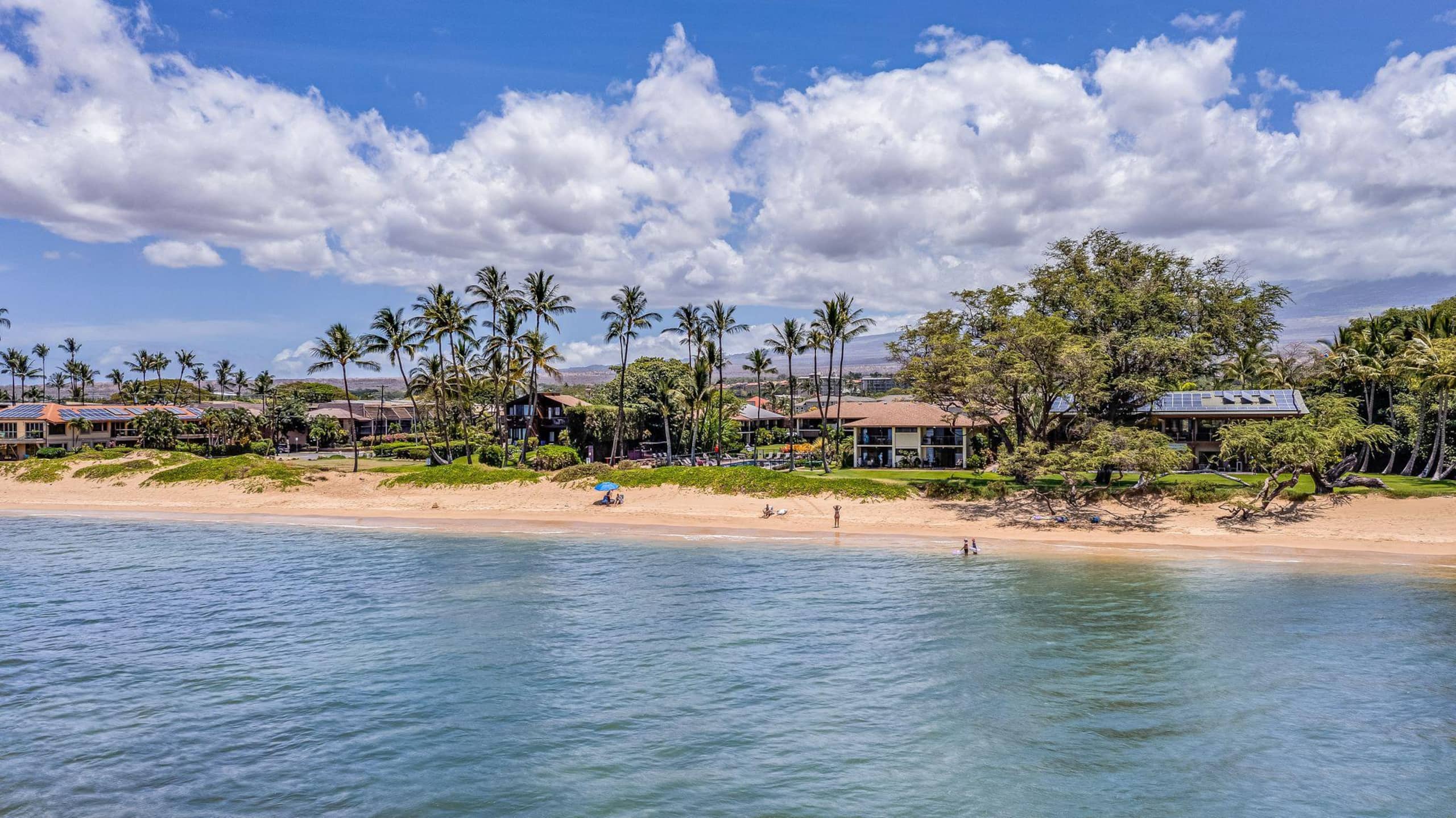 Condo in Kihei · ★4.82 · 1 bedroom · 2 beds · 1 shared bath - Image 38