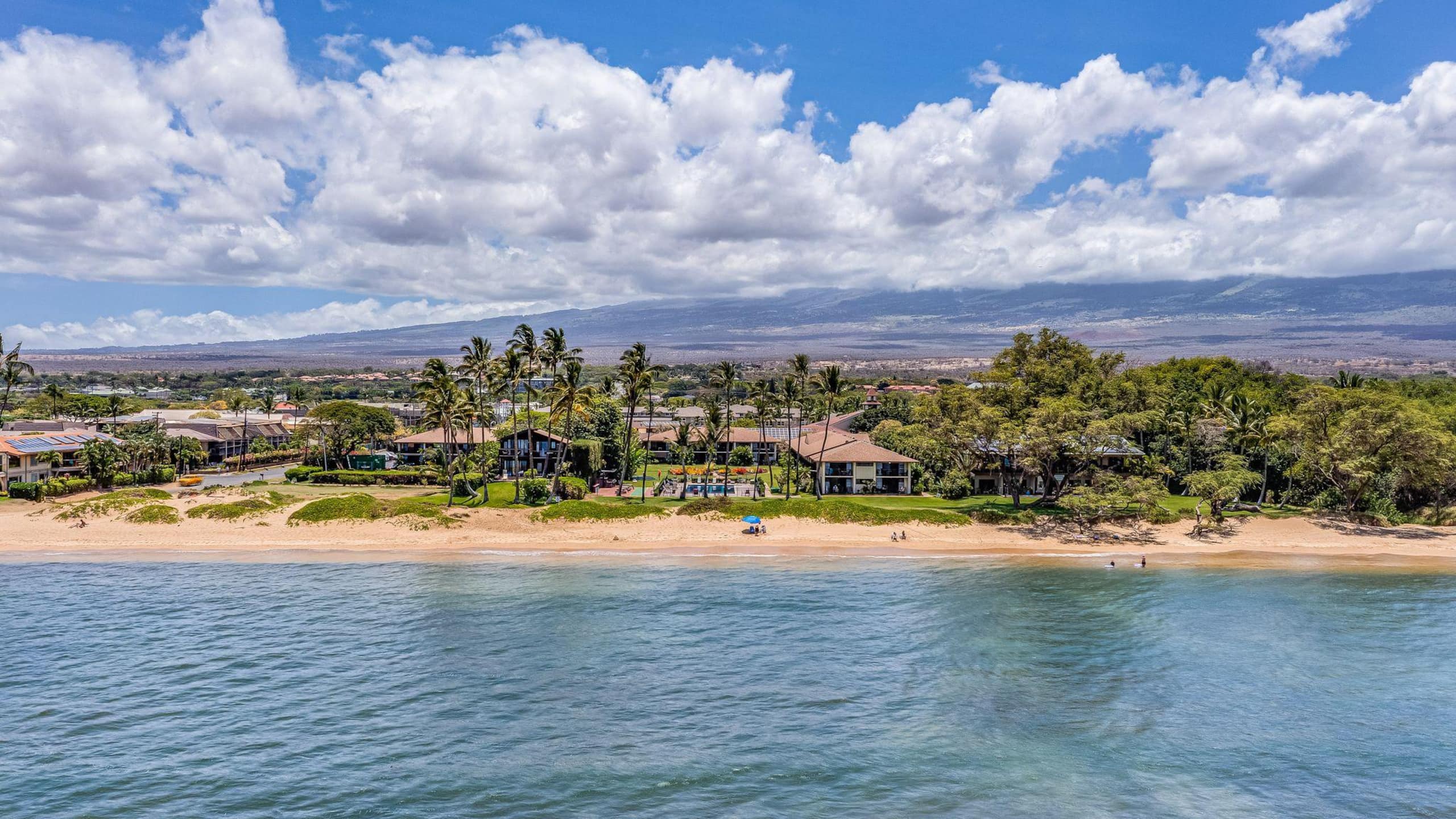 Condo in Kihei · ★4.82 · 1 bedroom · 2 beds · 1 shared bath - Image 39