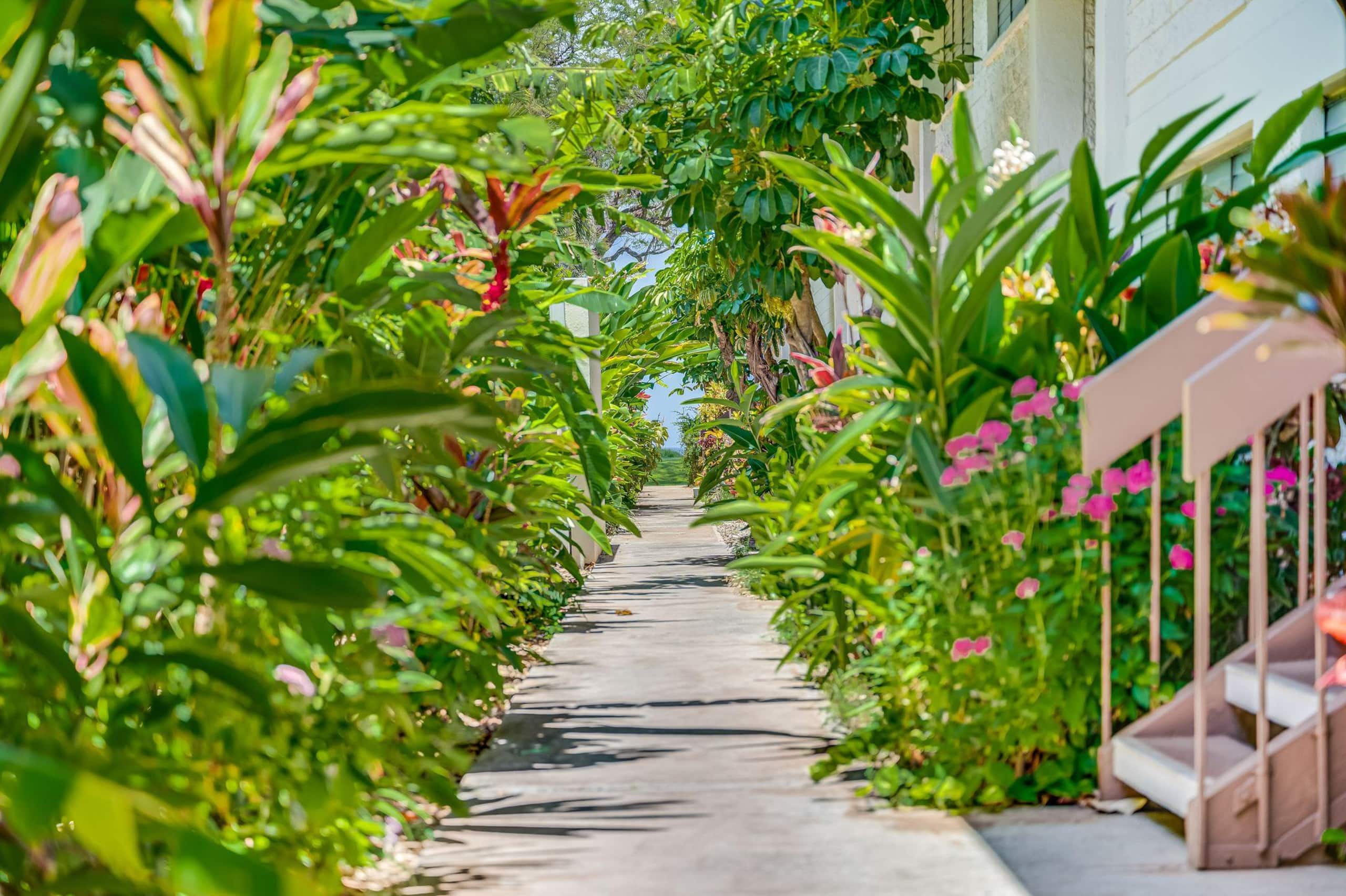 Condo in Kihei · ★4.82 · 1 bedroom · 2 beds · 1 shared bath - Image 47