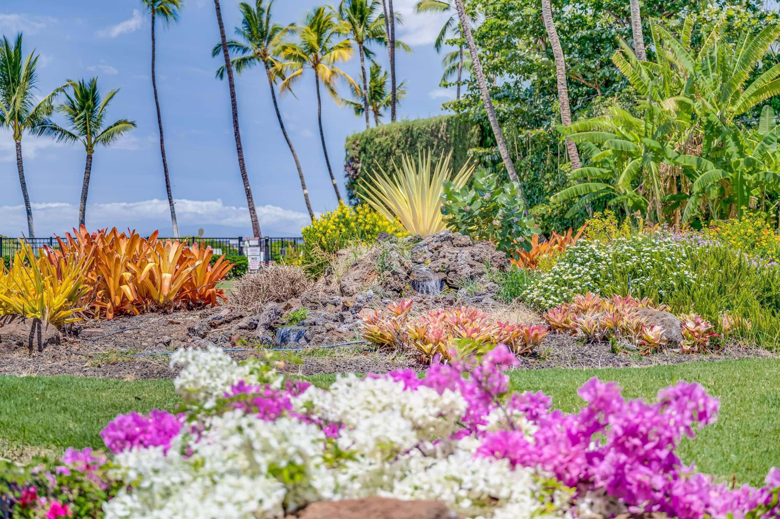 Condo in Kihei · ★4.82 · 1 bedroom · 2 beds · 1 shared bath - Image 46