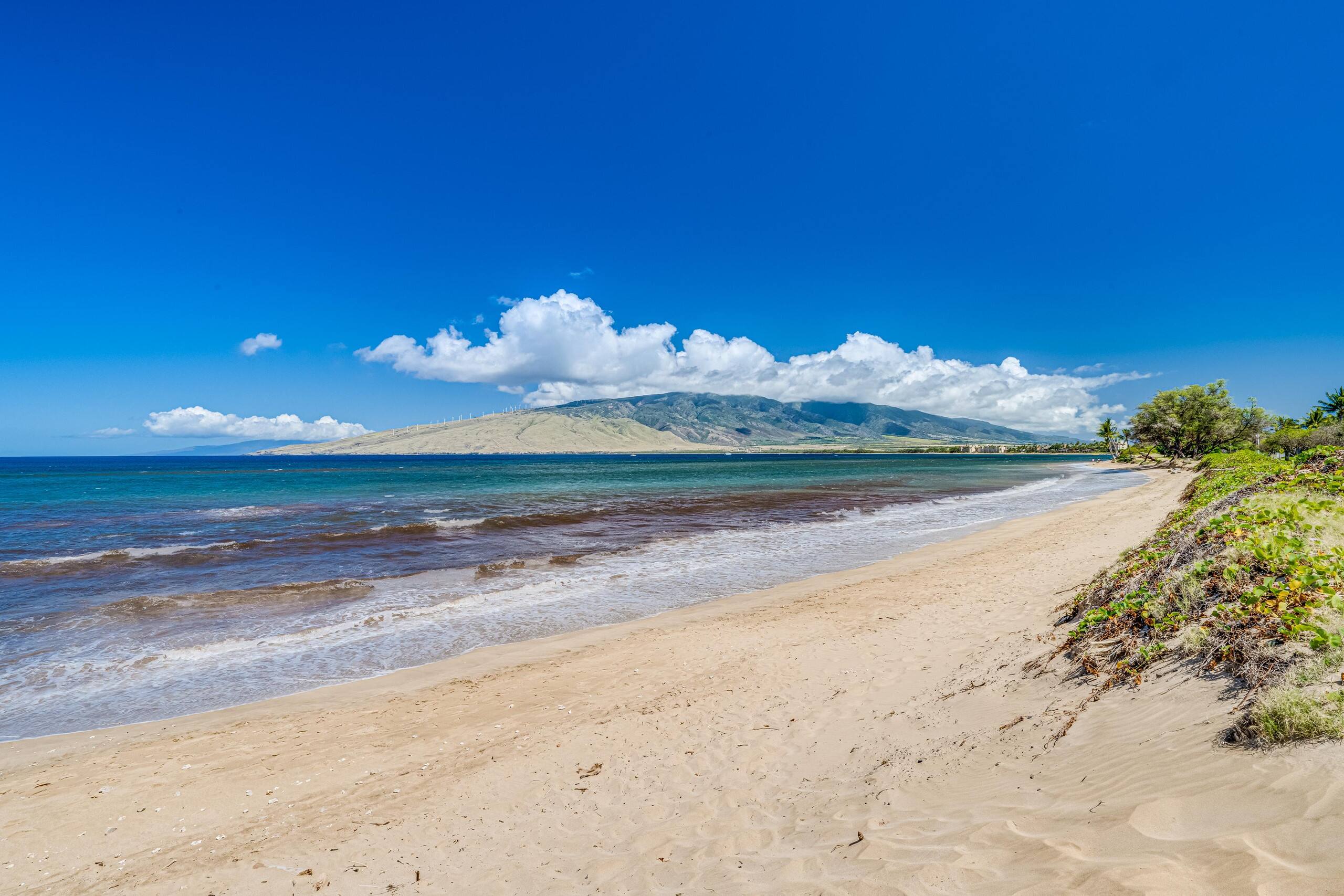 Condo in Kihei · ★4.8 · 2 bedrooms · 3 beds · 1 shared bath - Image 5