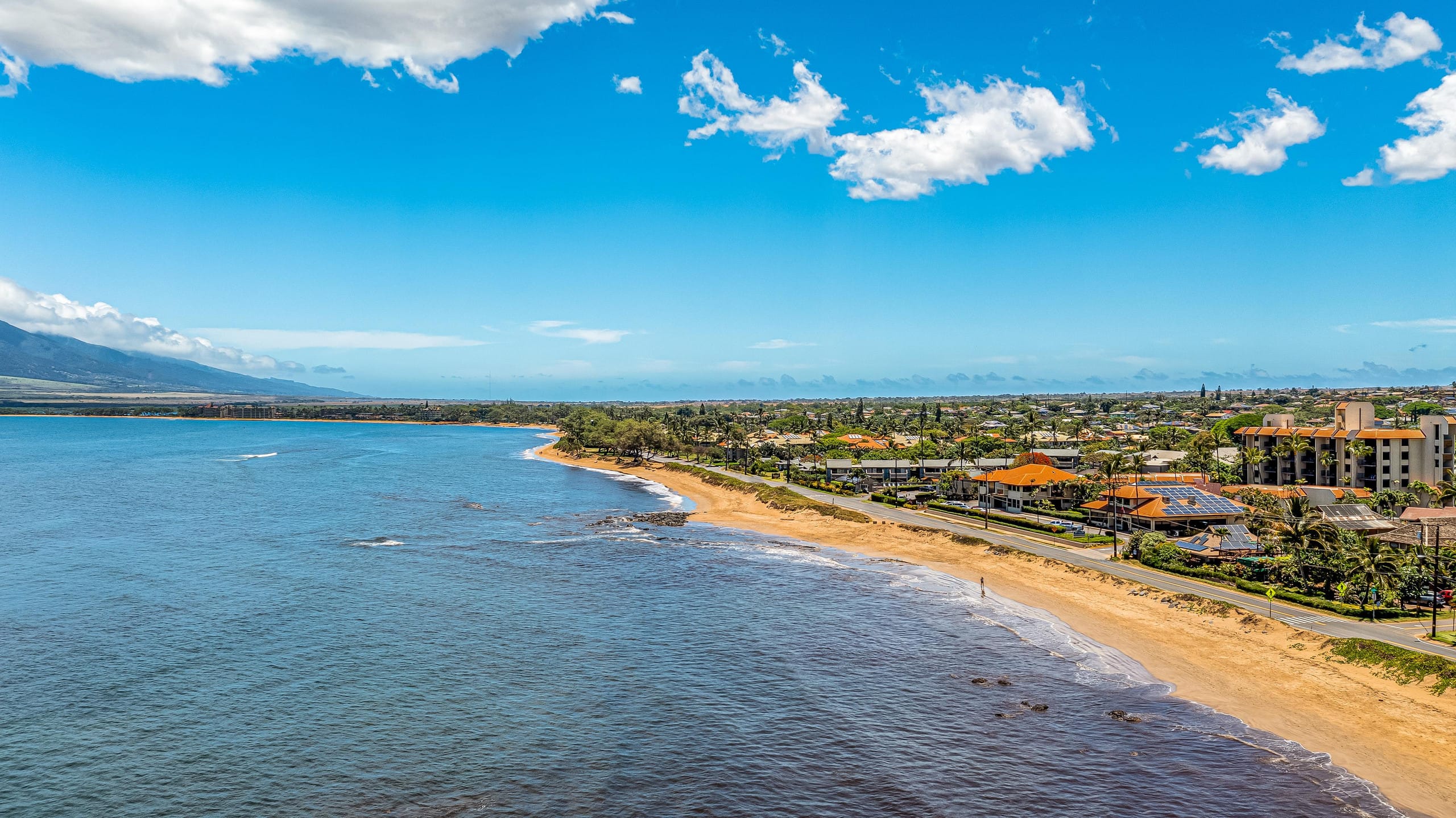 Condo in Kihei · ★4.8 · 2 bedrooms · 3 beds · 1 shared bath - Image 45