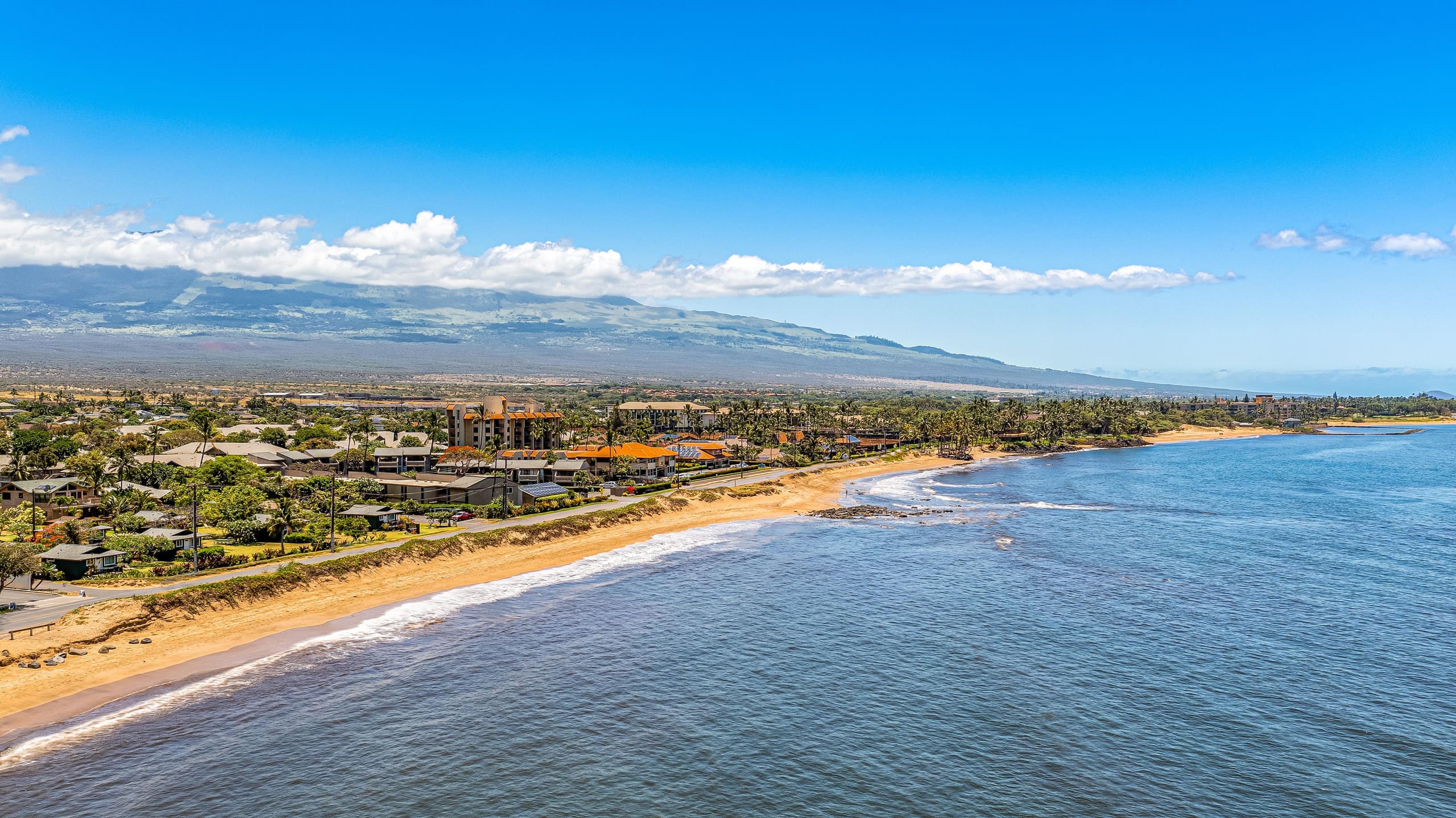 Condo in Kihei · ★4.8 · 2 bedrooms · 3 beds · 1 shared bath - Image 46