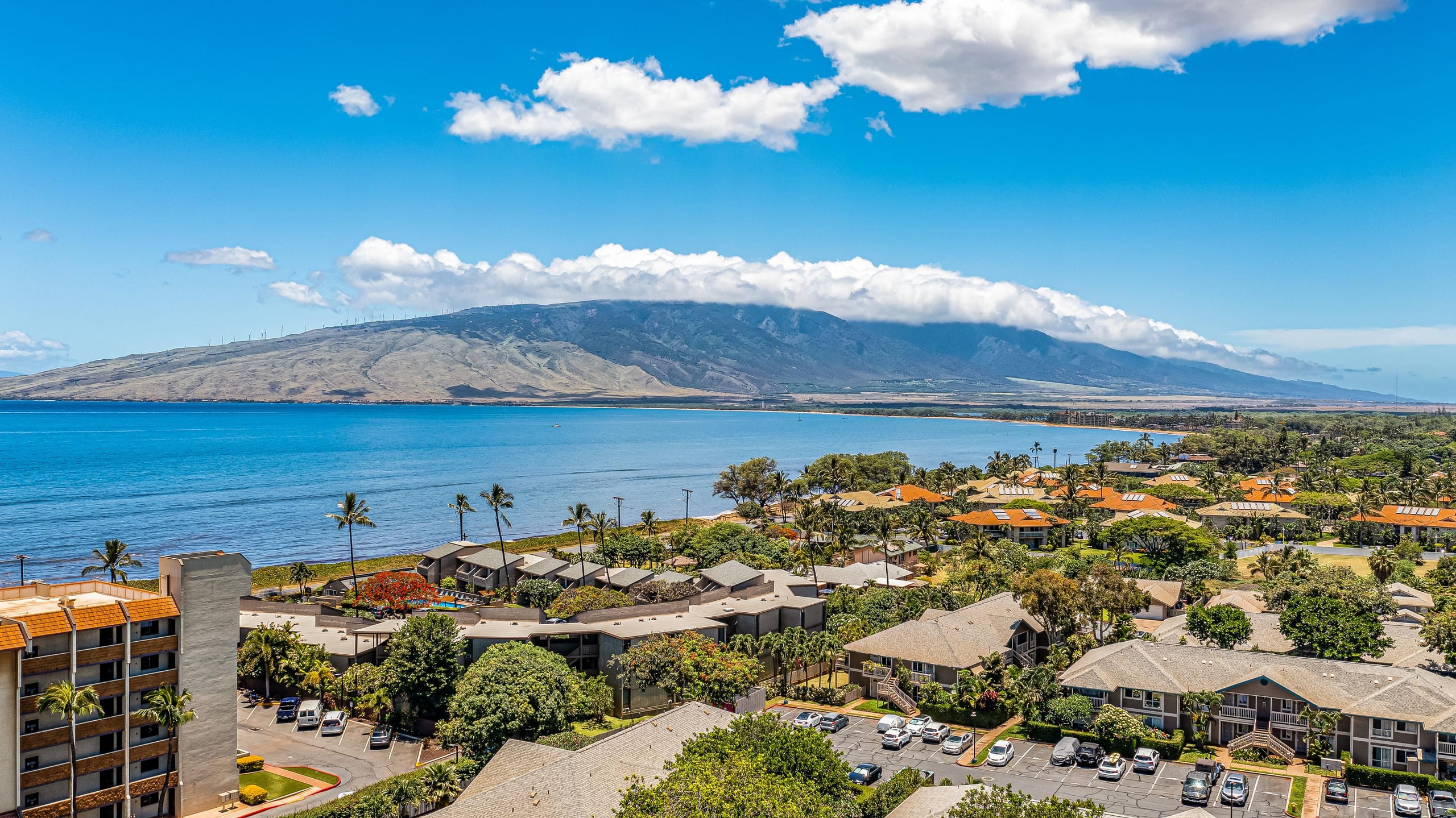Condo in Kihei · ★4.8 · 2 bedrooms · 3 beds · 1 shared bath - Image 47