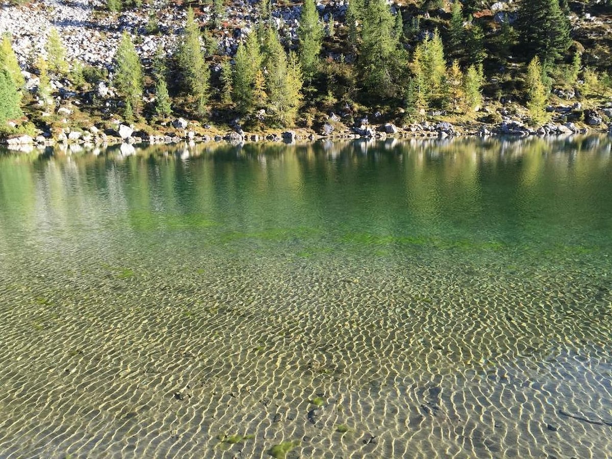 A serene lakeside view is captured, featuring calm waters reflecting the surrounding greenery. Gentle ripples create a textured pattern on the surface, while patches of light and shadow play across the scene. Rocky shores are visible in the background, enhancing the natural beauty.