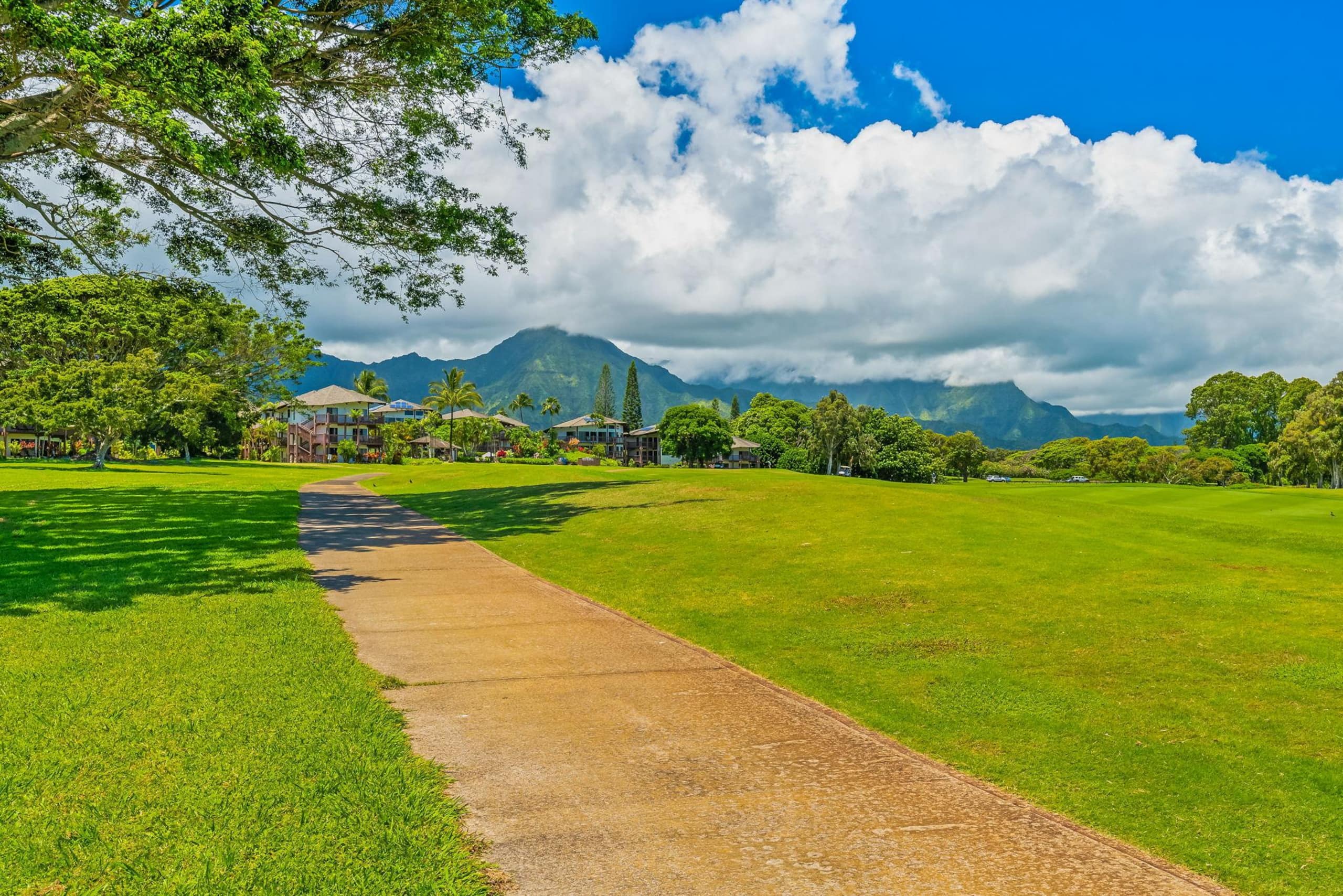 End Unit with Island Decor at Puamana 24A - Photo 19