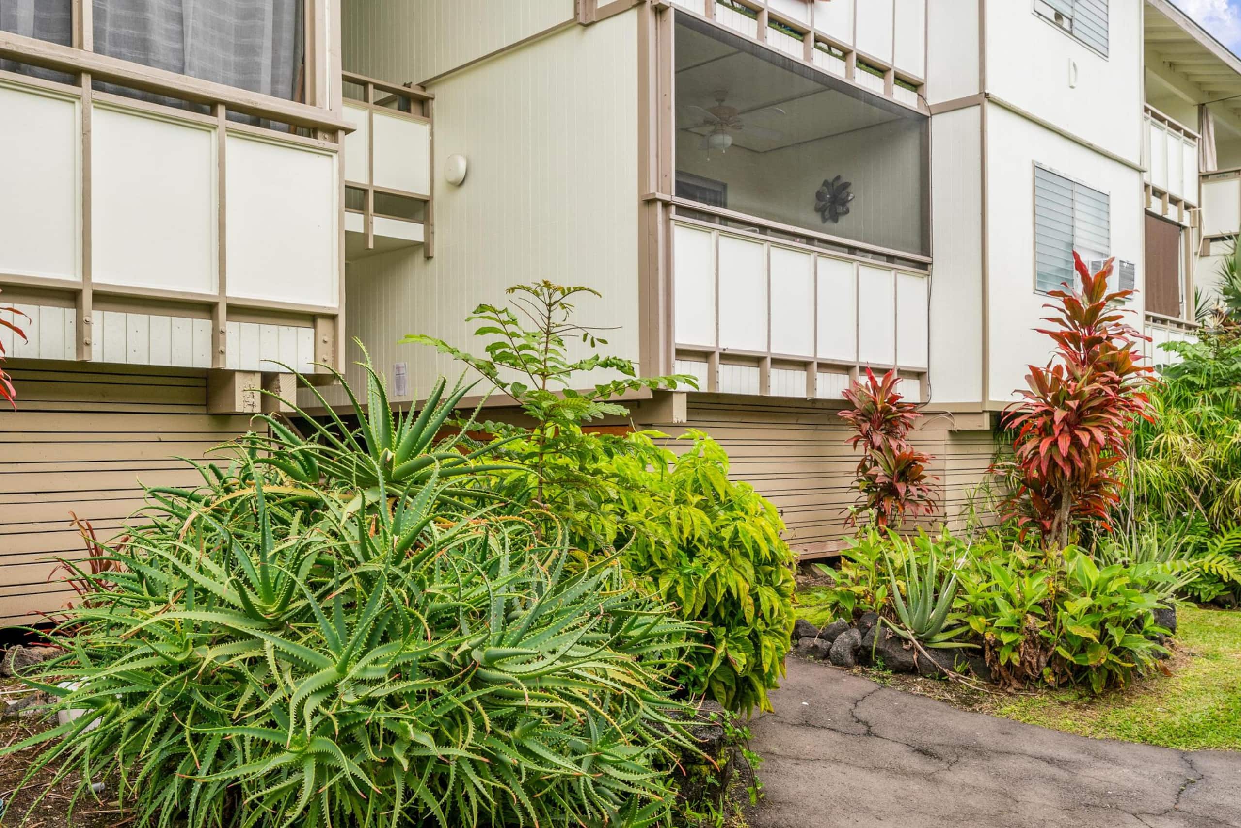 Condo in Kailua-Kona · ★4.5 · 1 bedroom · 1 bed · 1 shared bath - Image 28