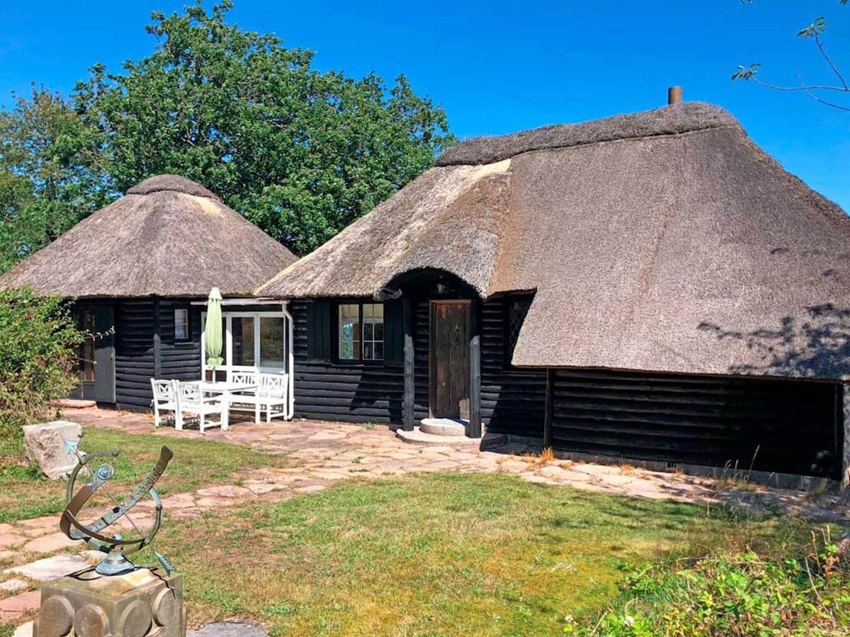 A charming holiday home is depicted with a thatched roof, situated in a lush green landscape. The structure features a black wooden facade and a stone pathway leading to the entrance. Outdoor seating is available on a small terrace under the sun.