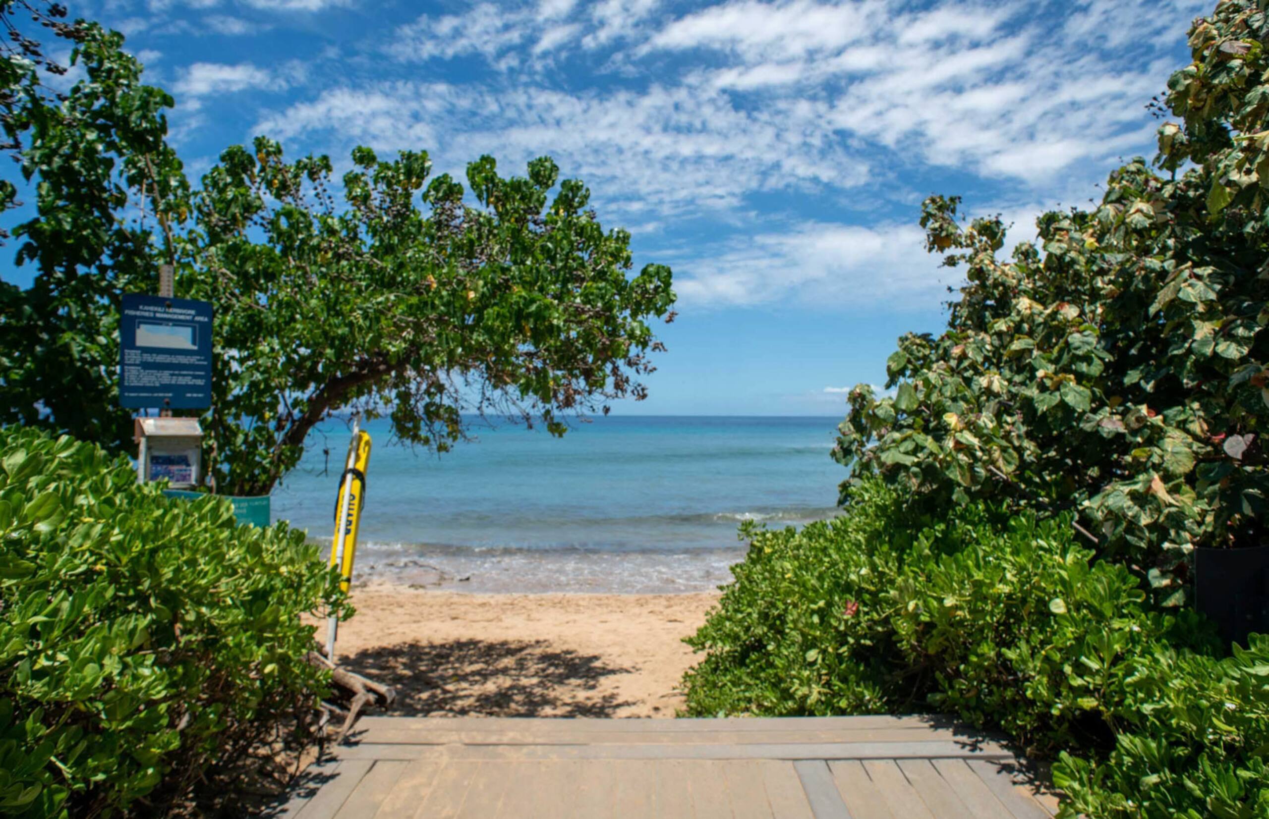Condo in Lahaina · ★4.67 · 2 bedrooms · 3 beds · 2 baths - Image 27