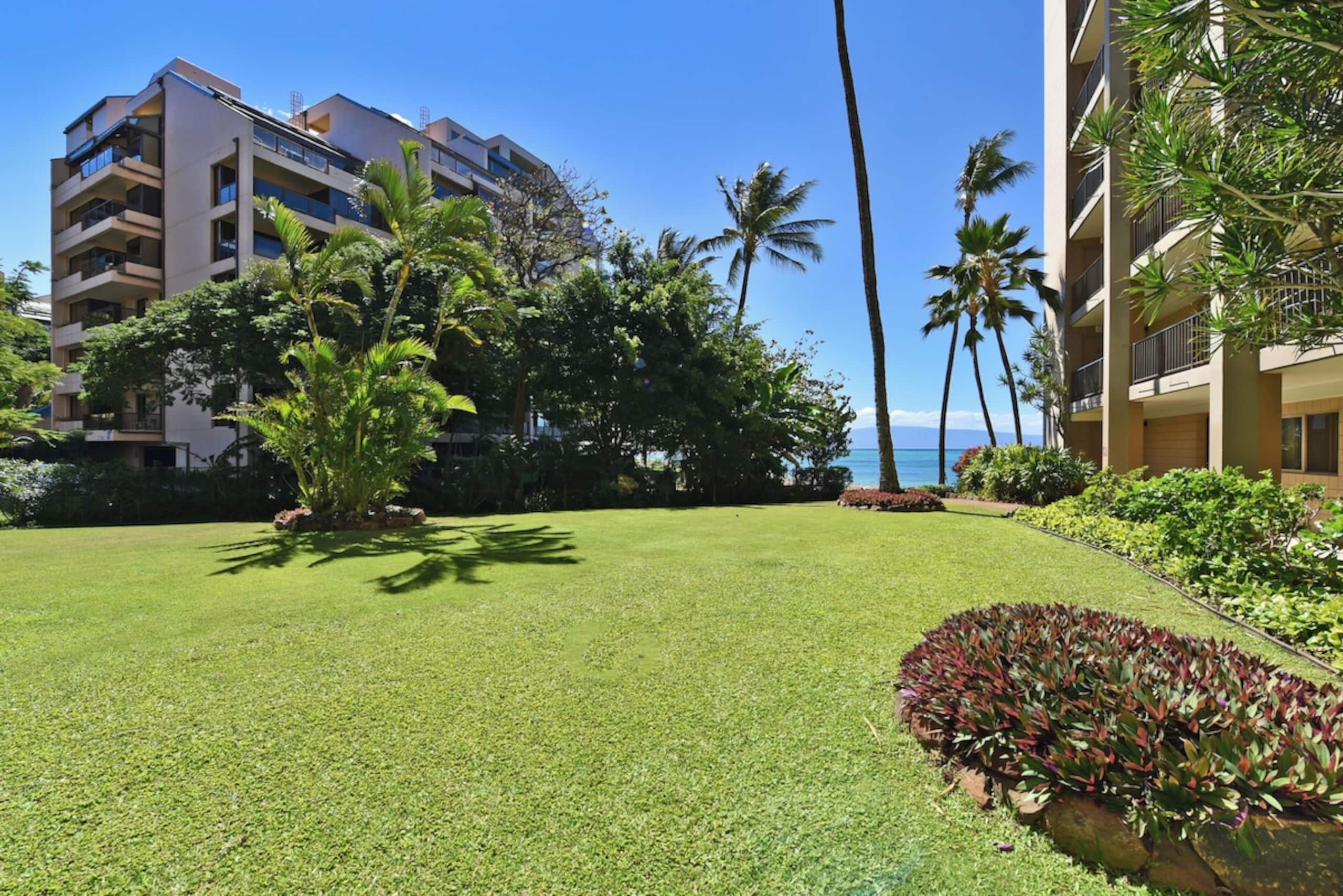 Condo in Lahaina · ★4.97 · Studio · 2 beds · 1 bath - Image 38