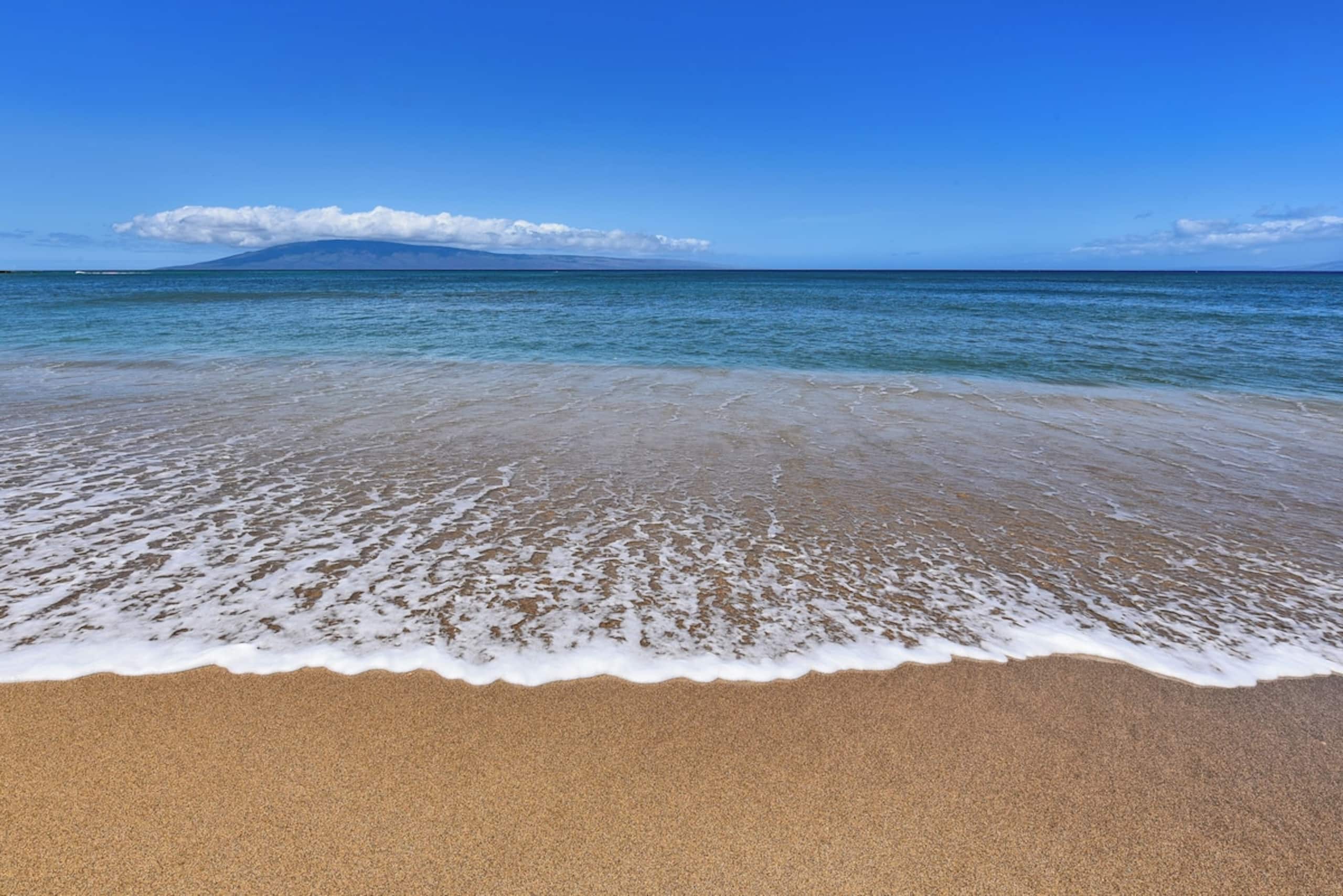 Condo in Lahaina · ★4.97 · Studio · 2 beds · 1 bath - Image 30