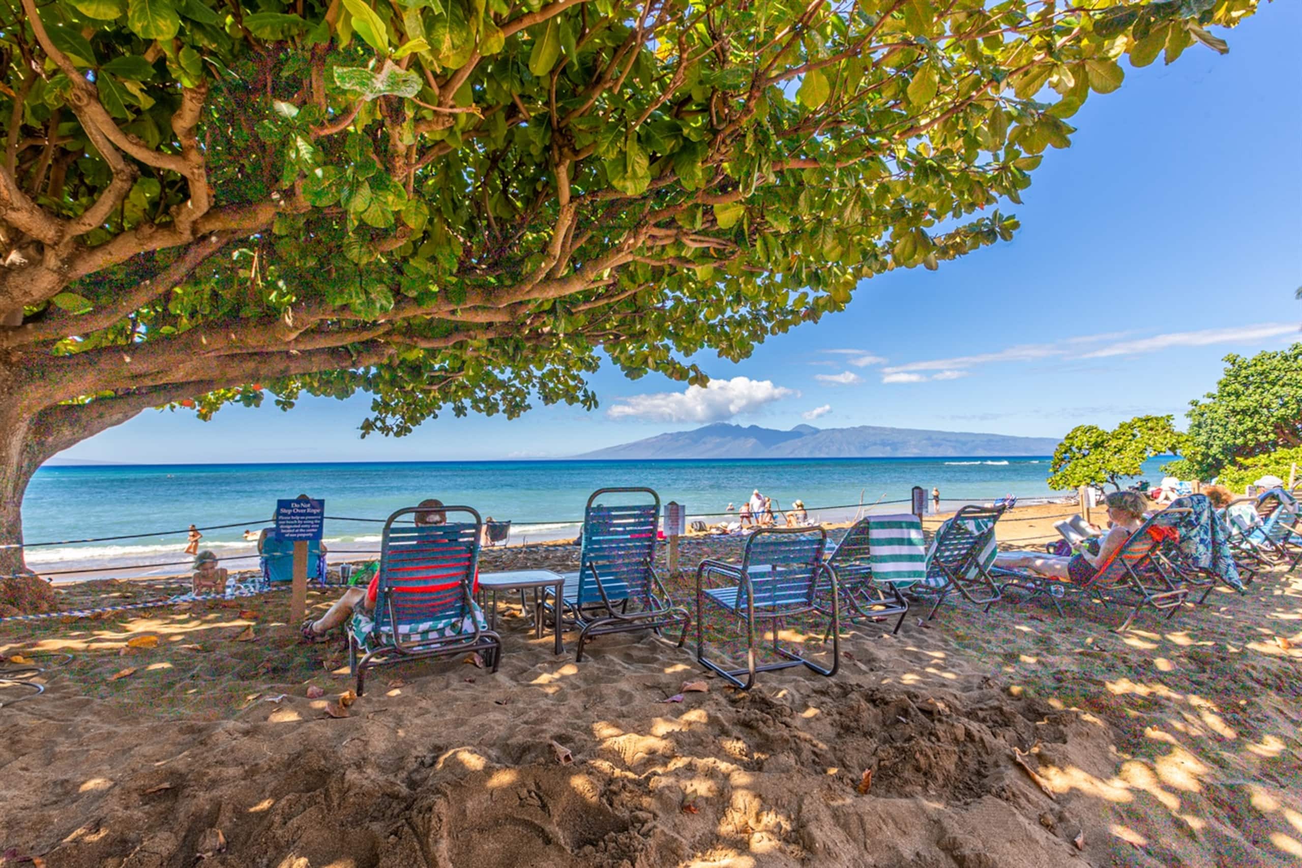 Condo in Lahaina · ★4.96 · 2 bedrooms · 3 beds · 2 baths - Image 38