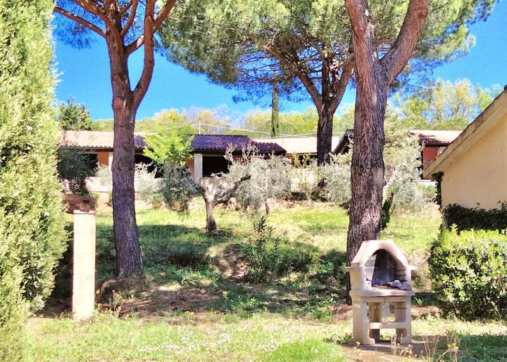 Il Borgo Bilocale 4 Posti Letto - Bibbona