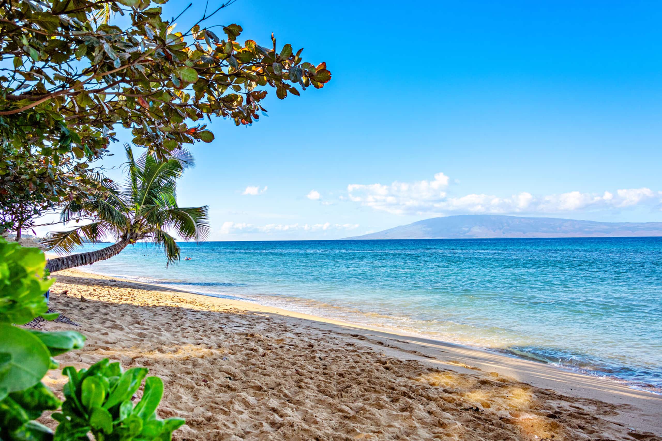 Condo in Lahaina · ★5.0 · 1 bedroom · 2 beds · 2 baths - Image 28