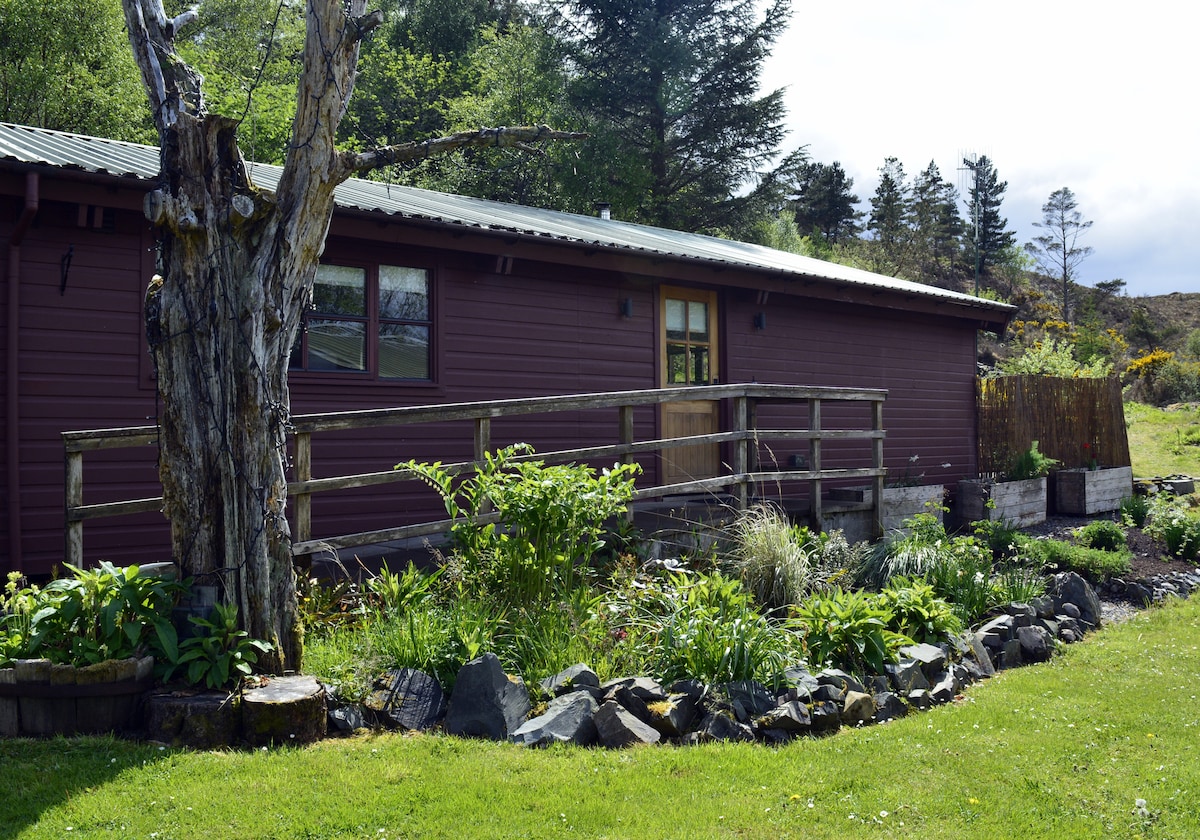 The lodge exterior features a wooden façade with large windows, surrounded by a manicured garden. A wide ramp leads to the entrance, flanked by greenery and rocks. A weathered tree adds character to the picturesque setting among the tranquil forest landscape.