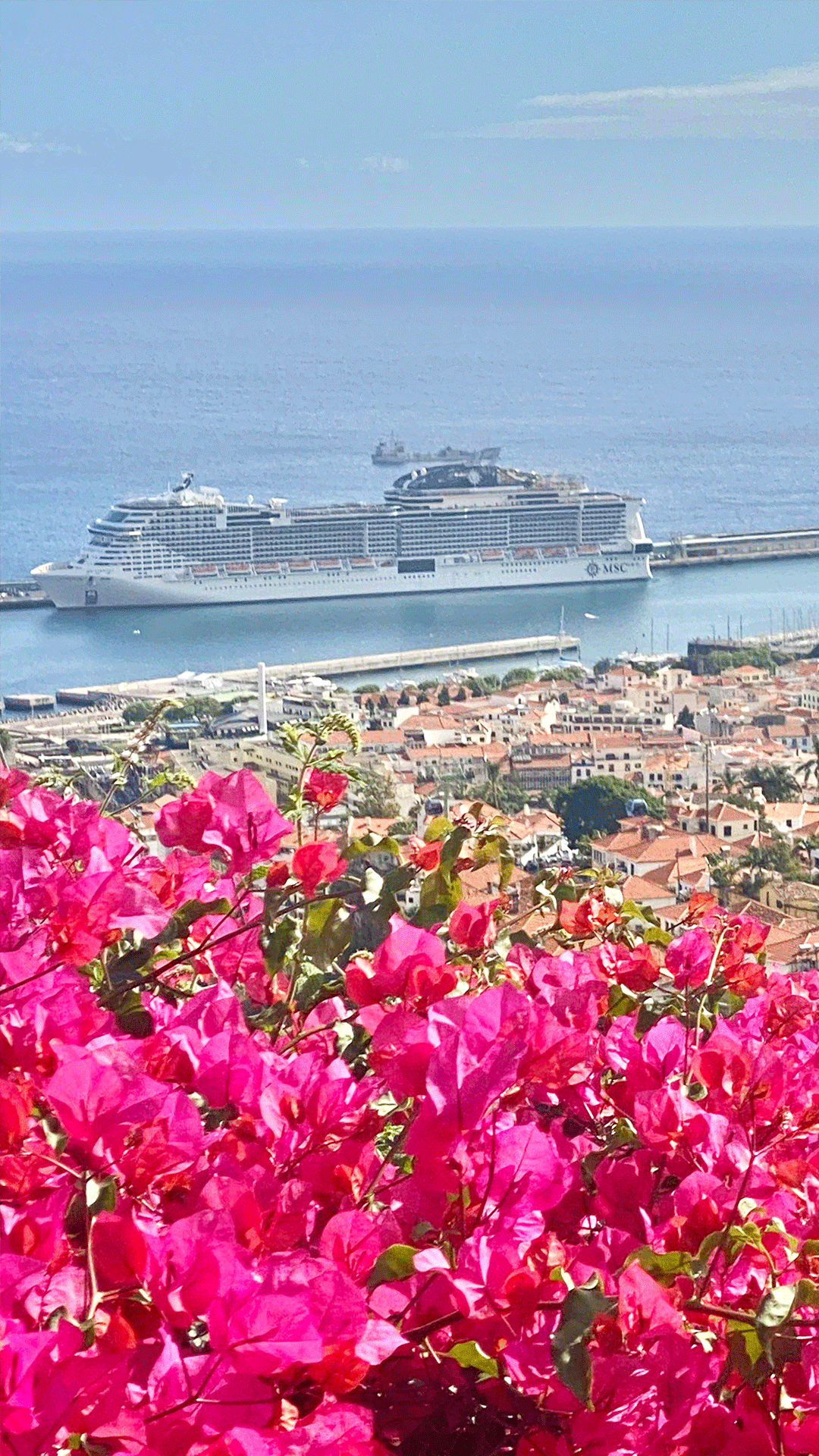 A vibrant view showcases a ship docked in the harbor, framed by blooming bougainvillea in shades of pink. The city of Funchal and its red-roofed buildings can be seen in the background, extending towards the coastline and ocean.