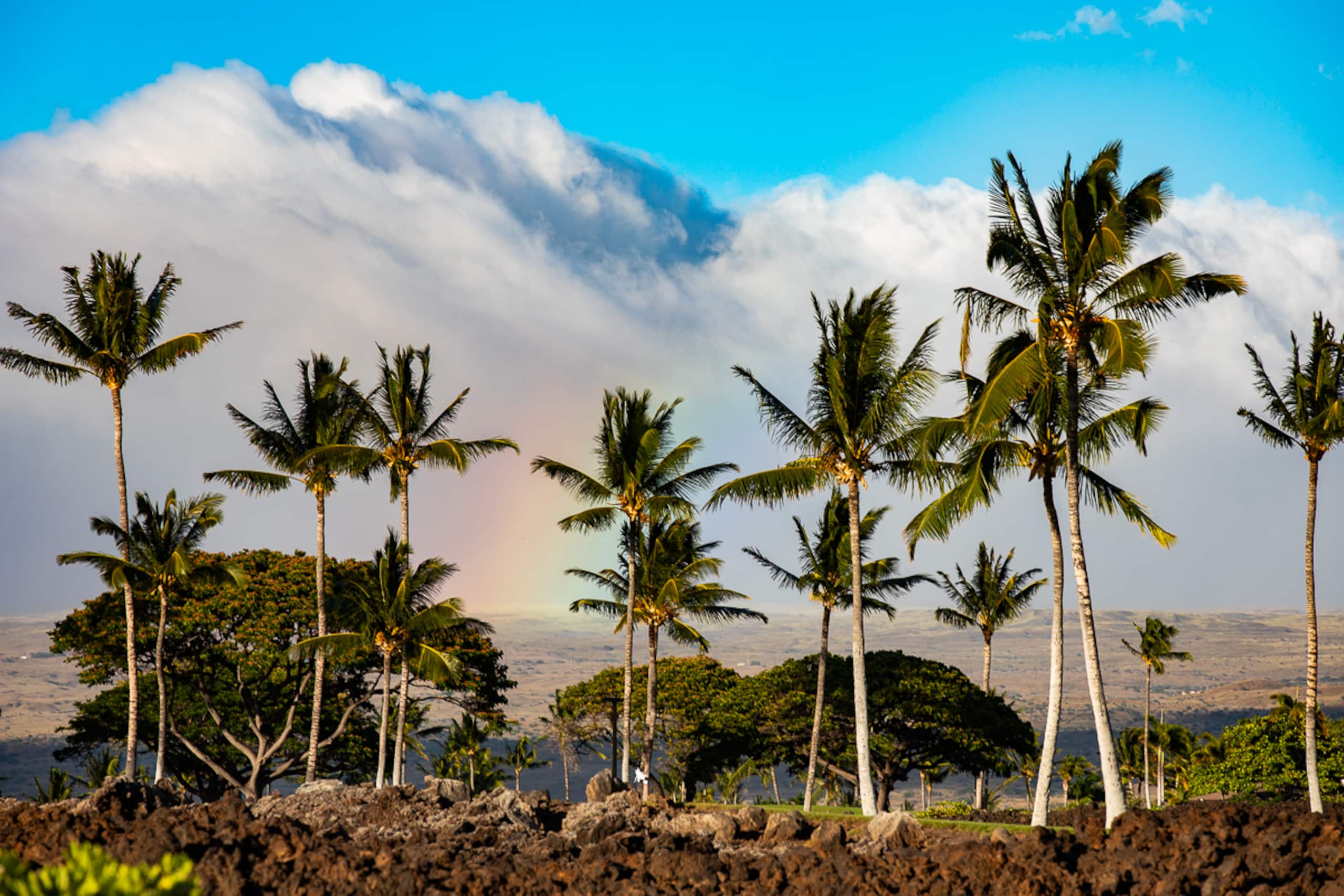 Home in Waimea · ★4.86 · 4 bedrooms · 5 beds · 4.5 baths - Image 54