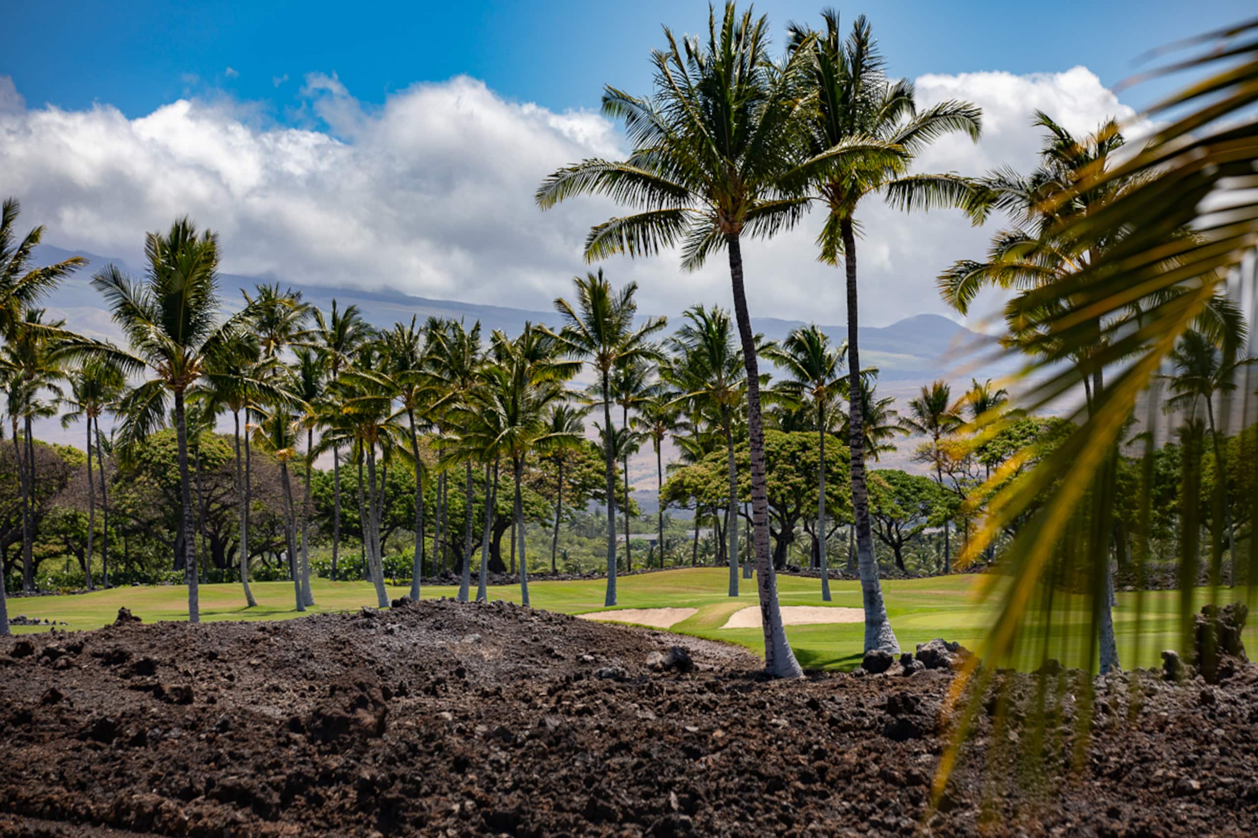 Home in Waimea · ★4.86 · 4 bedrooms · 5 beds · 4.5 baths - Image 53