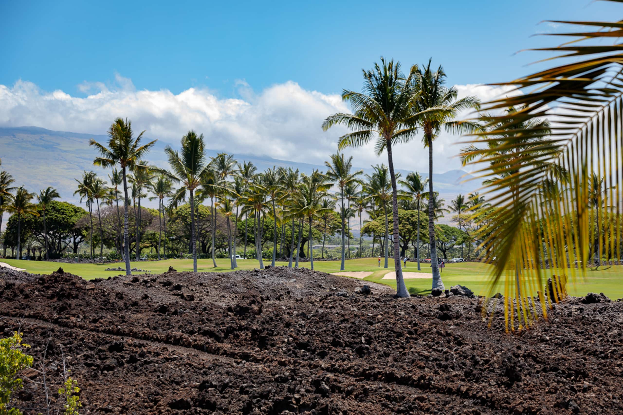 Home in Waimea · ★4.86 · 4 bedrooms · 5 beds · 4.5 baths - Image 52