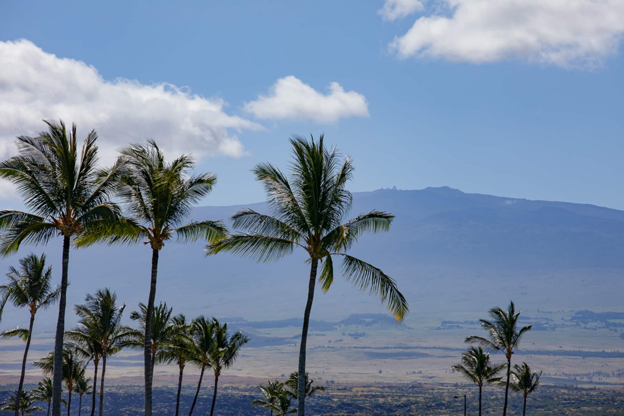 Home in Waimea · ★4.86 · 4 bedrooms · 5 beds · 4.5 baths - Image 55