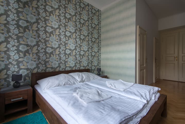 3 bedroom apartment in Vinohrady