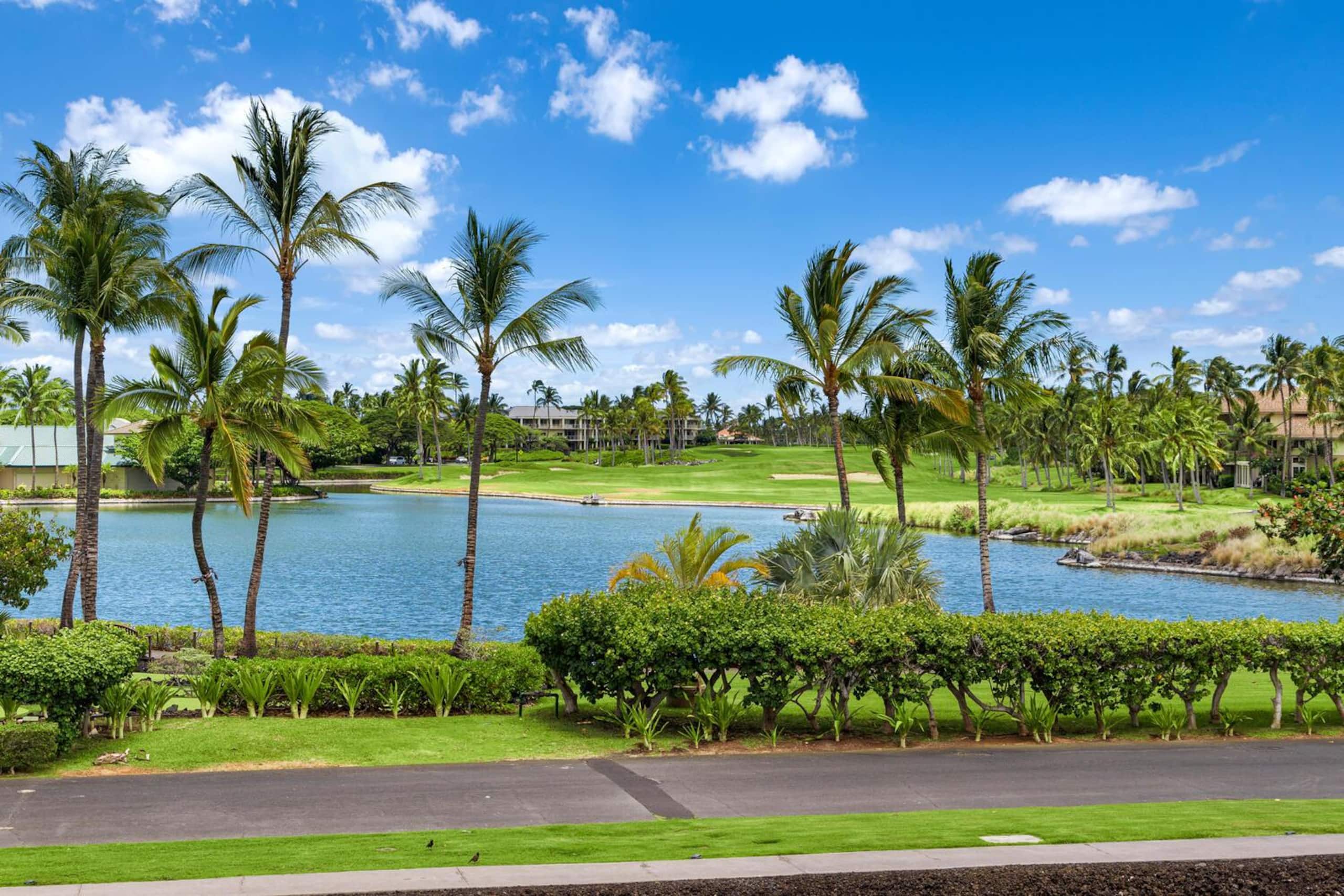 Pool, Gym, Views and More from this Prime Location - Photo 26