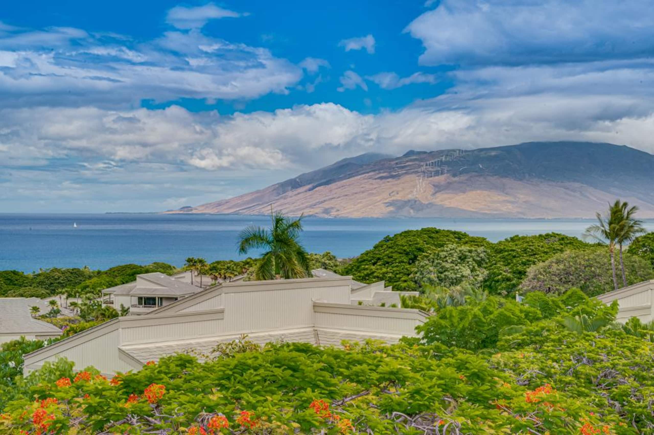Condo in Kihei · ★4.82 · 2 bedrooms · 3 beds · 2 baths - Image 48