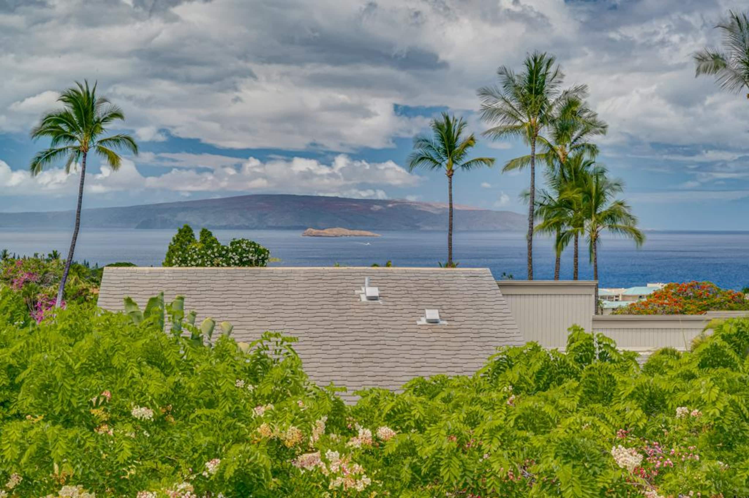 Condo in Kihei · ★4.82 · 2 bedrooms · 3 beds · 2 baths - Image 47