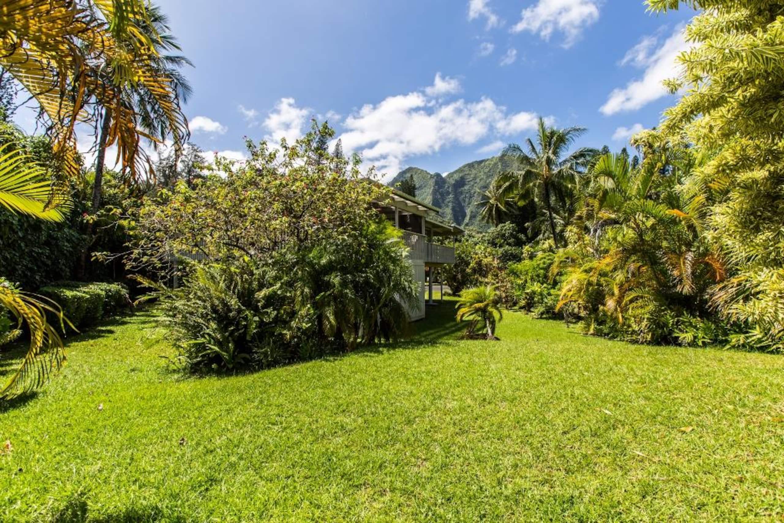 Home in Hanalei · ★4.84 · 2 bedrooms · 2 beds · 1.5 baths - Photo 22