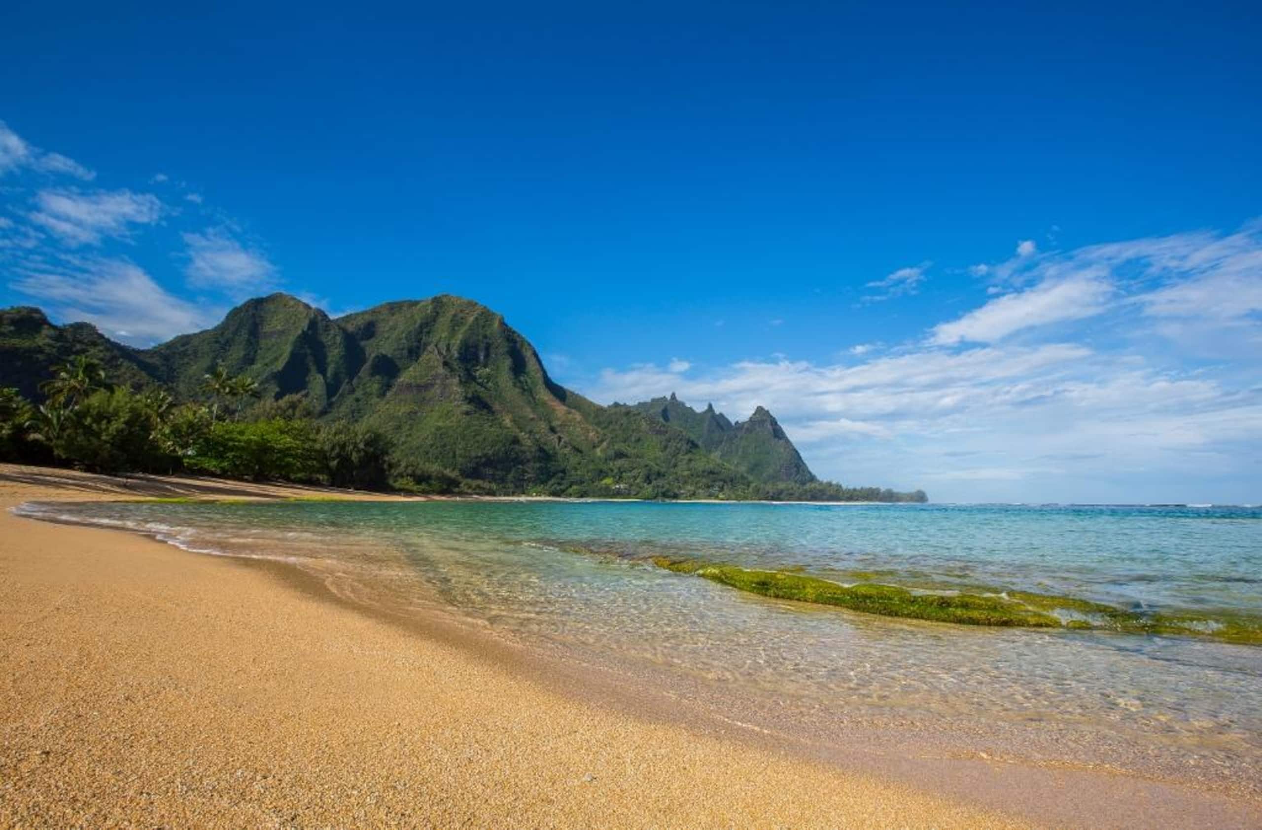 Home in Hanalei · ★4.84 · 2 bedrooms · 2 beds · 1.5 baths - Photo 23