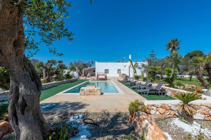 Il Canto della Cicala gallery image 2