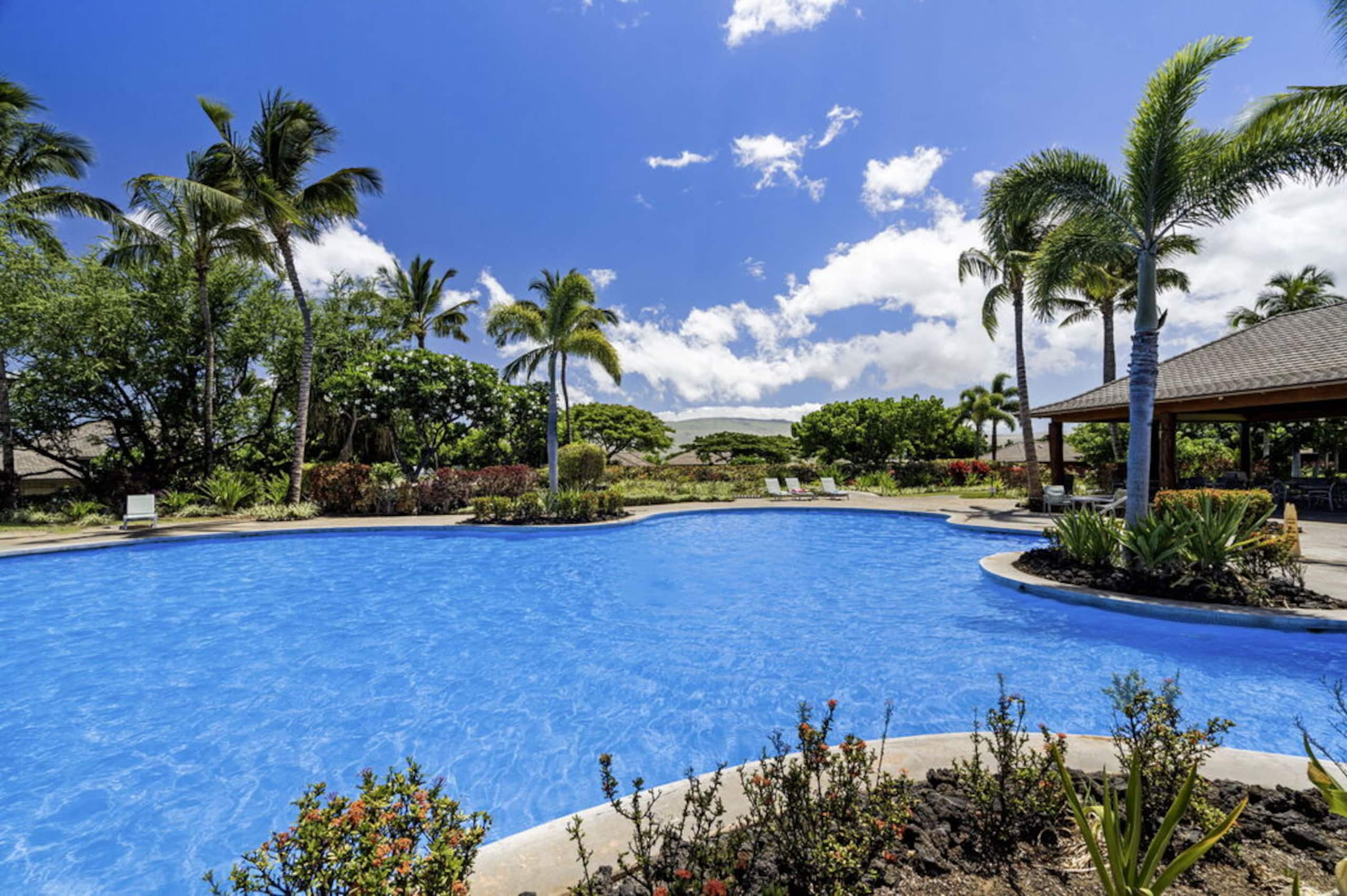 Townhouse in Waimea · ★5.0 · 3 bedrooms · 4 beds · 2.5 baths - Image 43