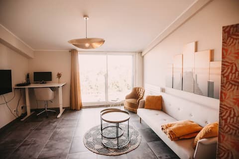 Top Airbnb: Luxury apartment - ideal for business travelers! à Besançon