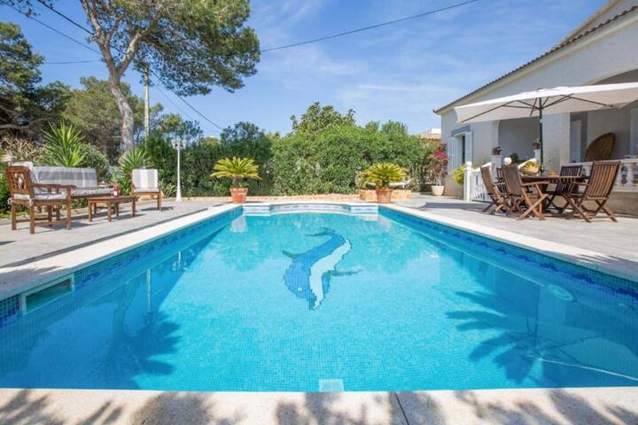 Can Navarro gallery image 2