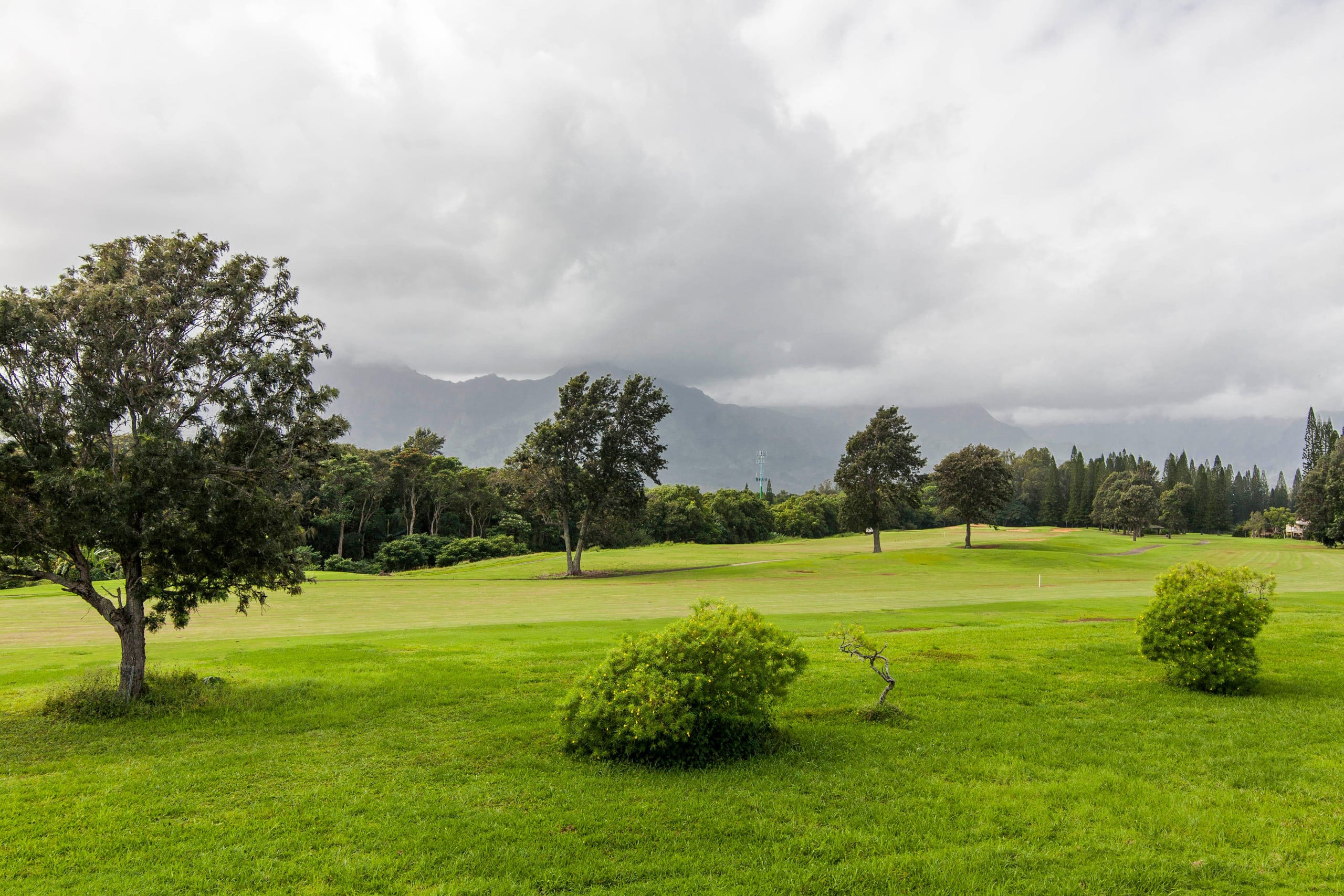 Home in Princeville · ★4.8 · 4 bedrooms · 5 beds · 3 private baths - Image 15