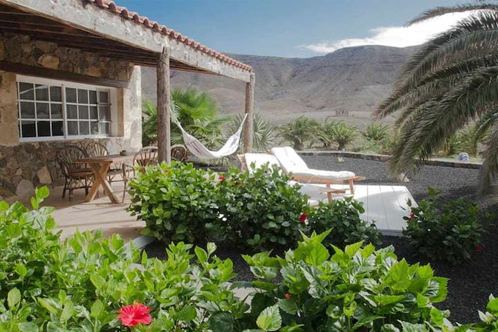 Casa rural: Finca Arbequina D