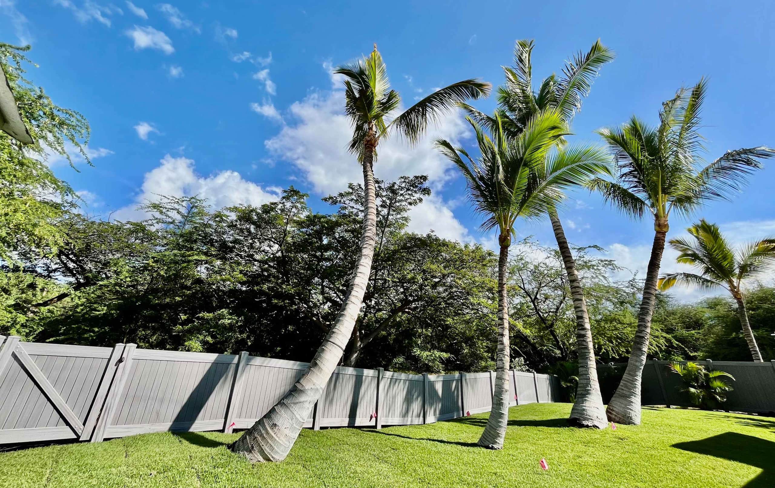 Home in Waimea · ★5.0 · 3 bedrooms · 3 beds · 3 baths - Image 49