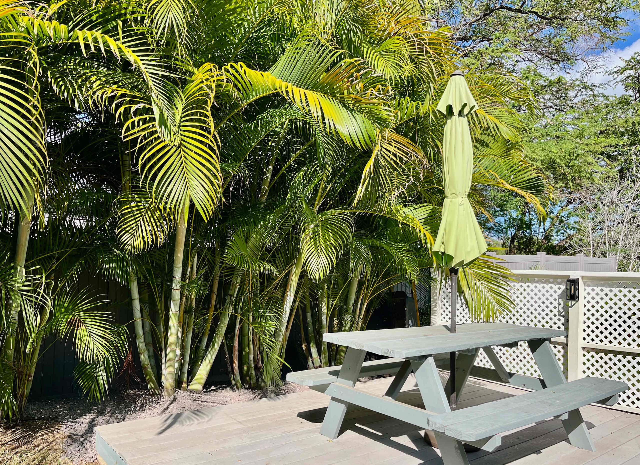 Home in Waimea · ★5.0 · 3 bedrooms · 3 beds · 3 baths - Image 6