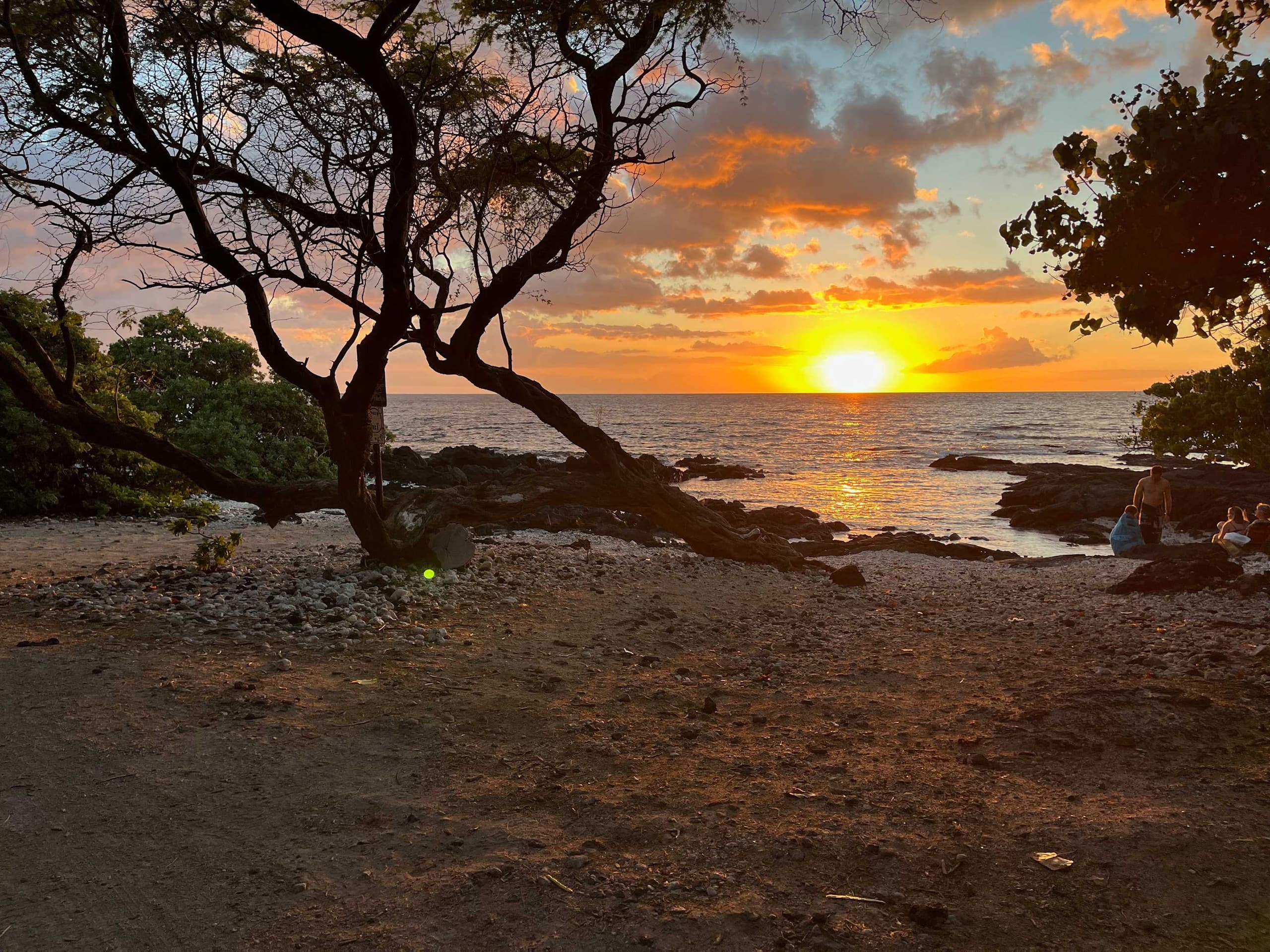 Home in Waimea · ★5.0 · 3 bedrooms · 3 beds · 3 baths - Image 61