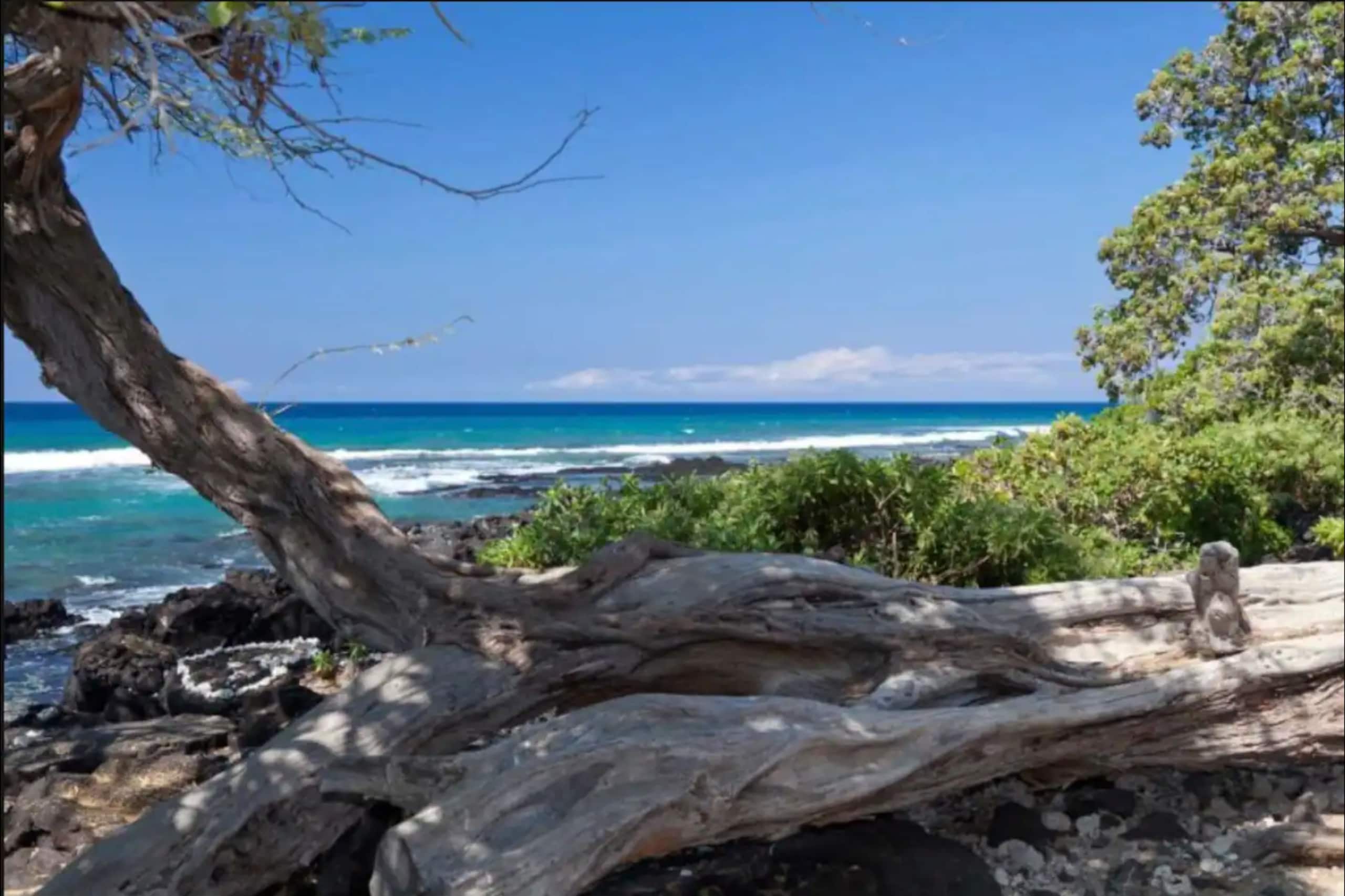 Home in Waimea · ★5.0 · 3 bedrooms · 3 beds · 3 baths - Image 58