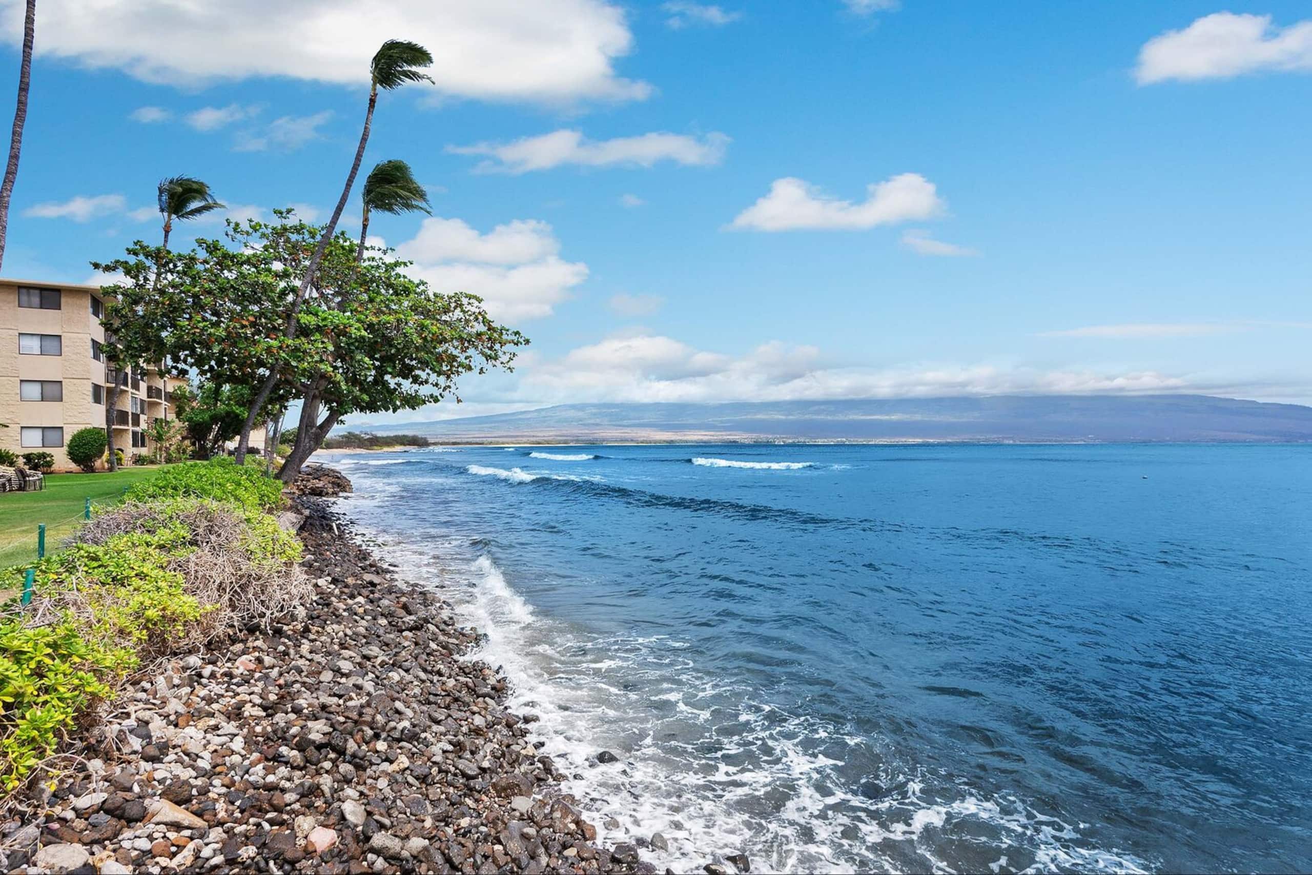 Condo in Wailuku · ★4.88 · 2 bedrooms · 3 beds · 2 baths - Image 39
