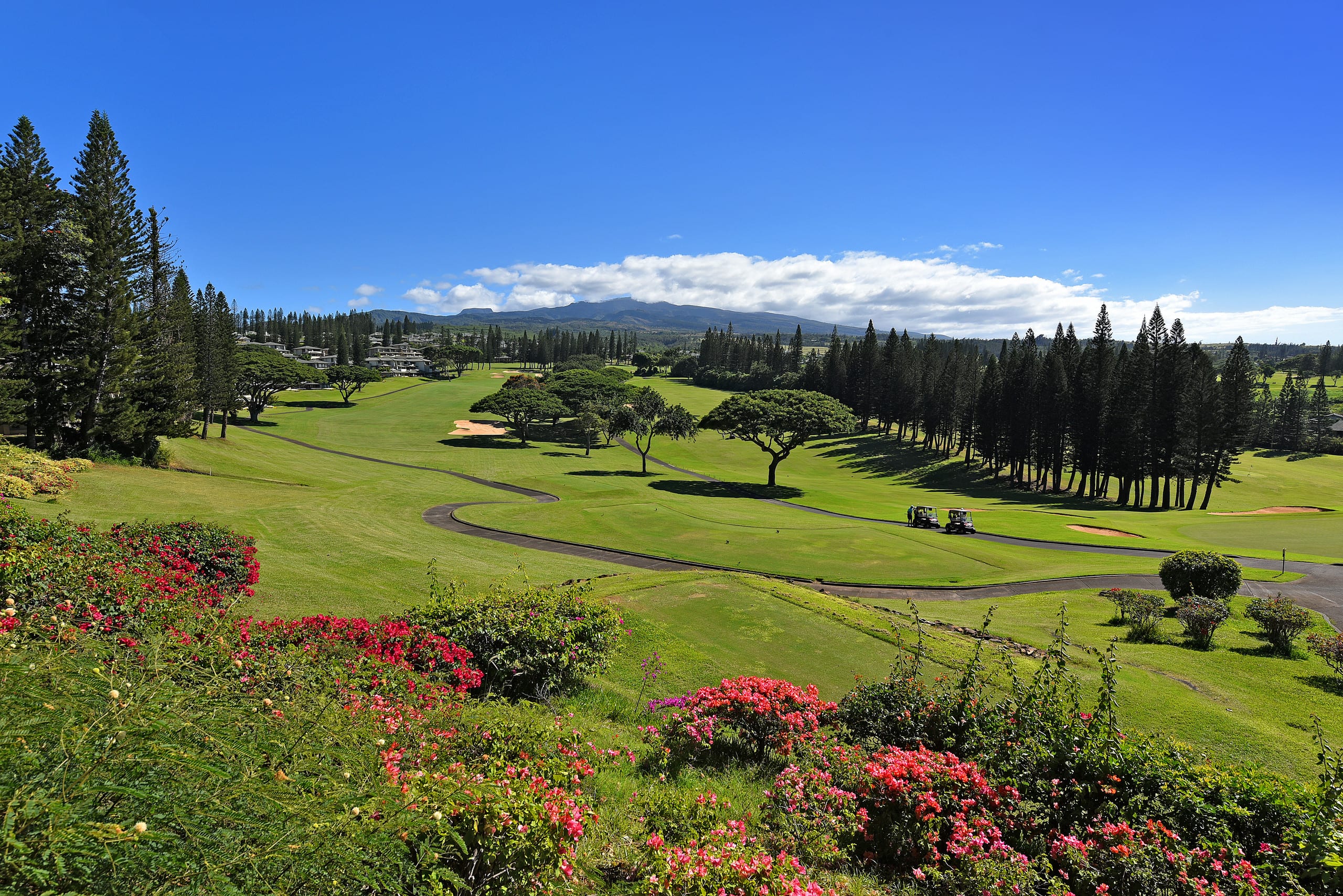 Condo in Lahaina · ★4.83 · 1 bedroom · 2 beds · 2 baths - Image 45