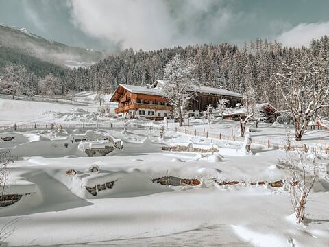 ASTER Boutique Hotel & Chalet